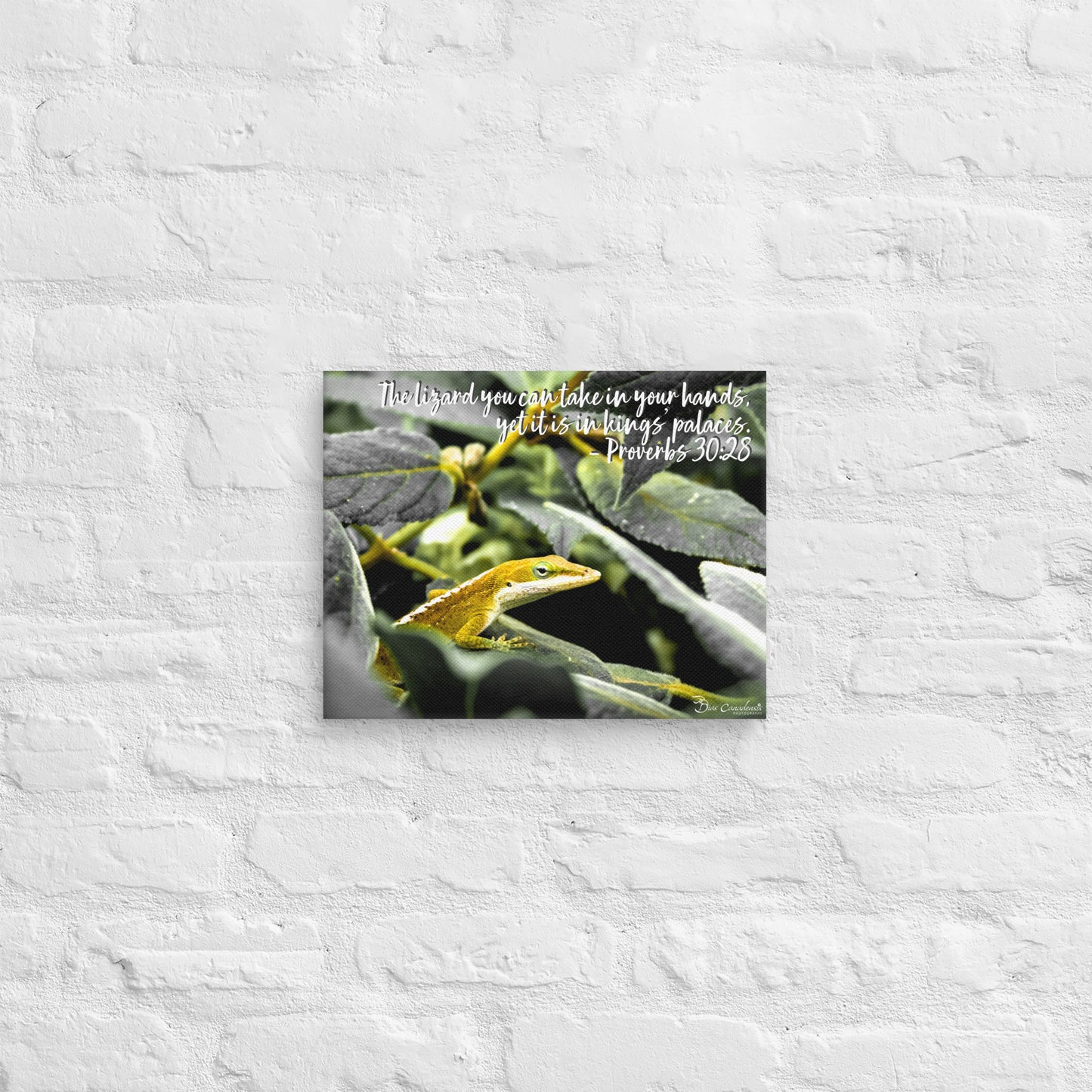 Canvas - Proverbs Wisdom Series - The Lizard