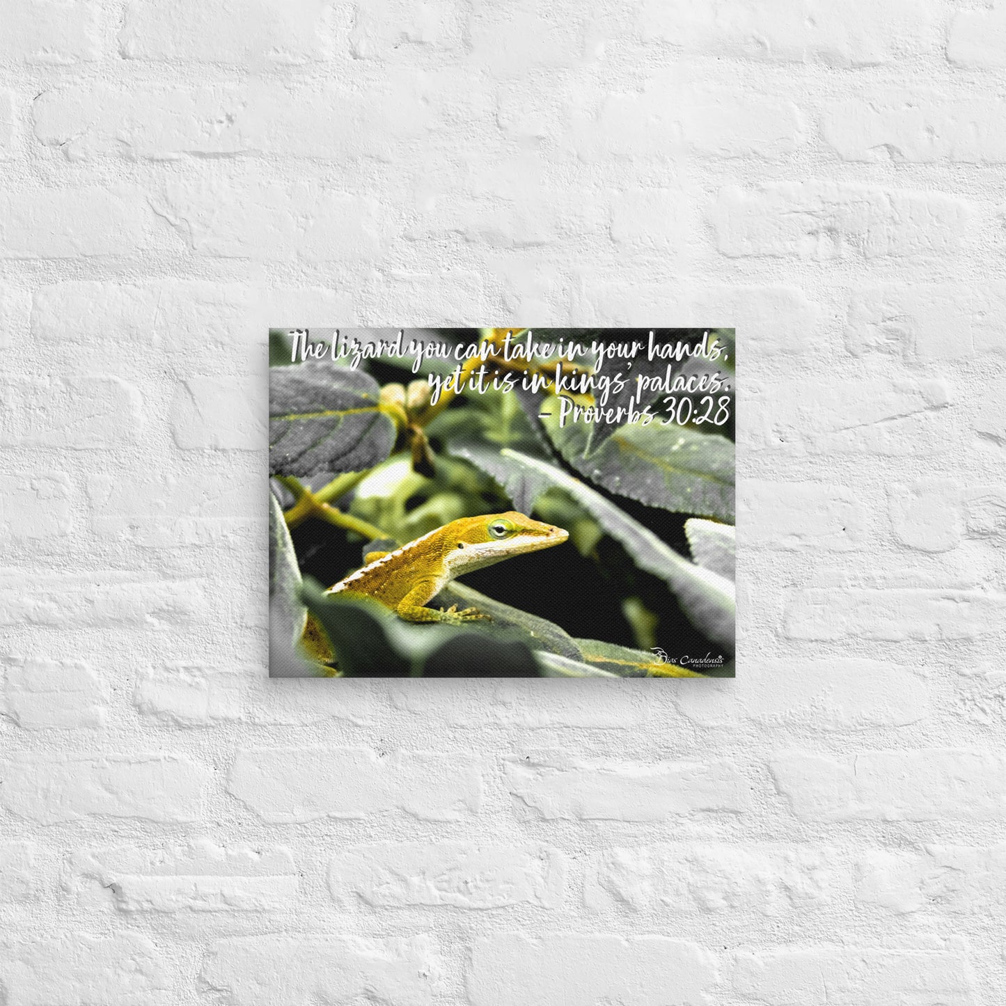 Canvas - Proverbs Wisdom Series - The Lizard