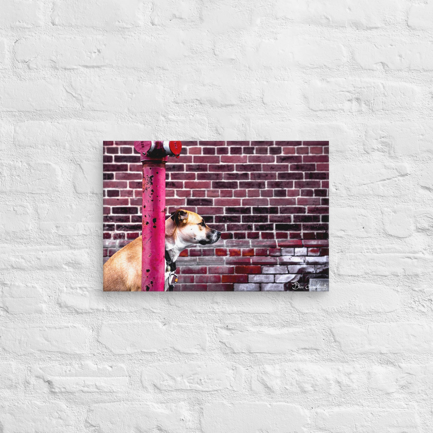 Canvas - Dog