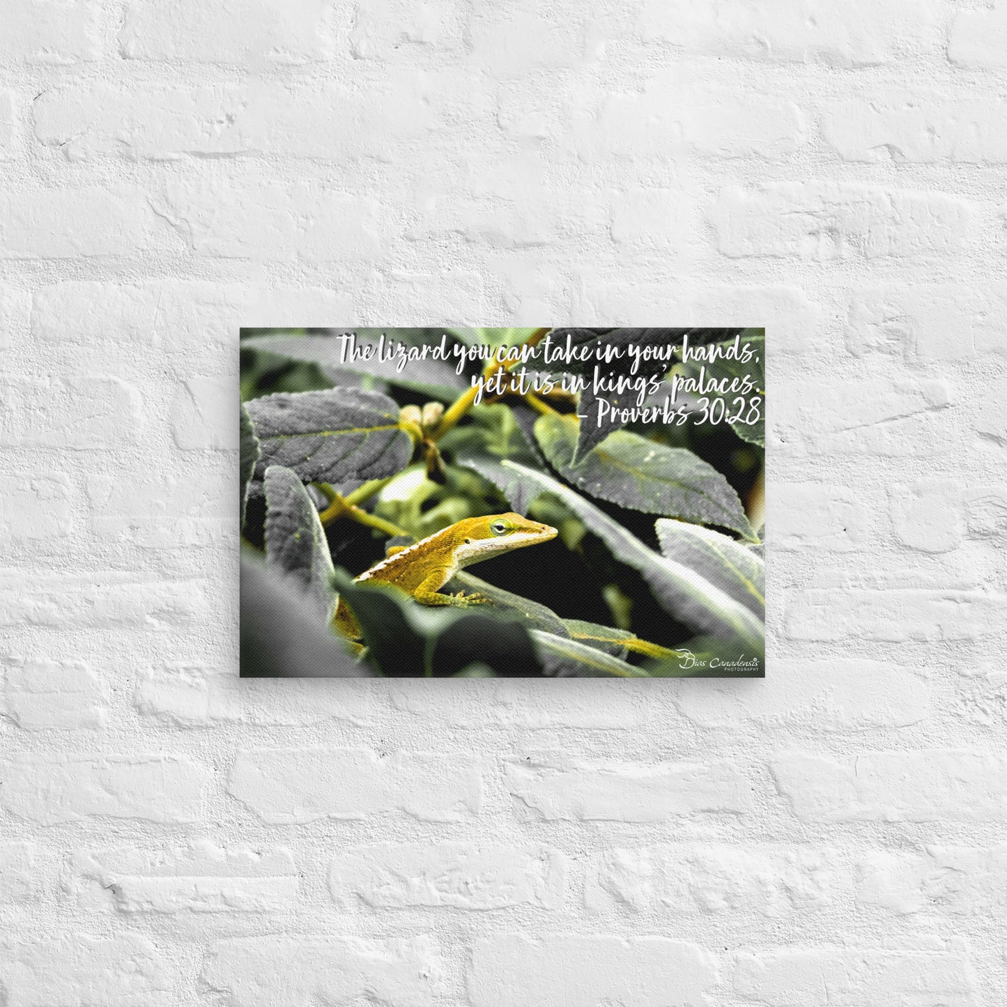 Canvas - Proverbs Wisdom Series - The Lizard