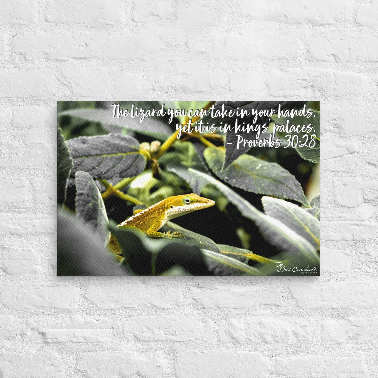 Canvas - Proverbs Wisdom Series - The Lizard