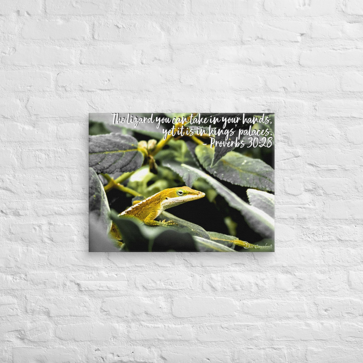 Canvas - Proverbs Wisdom Series - The Lizard