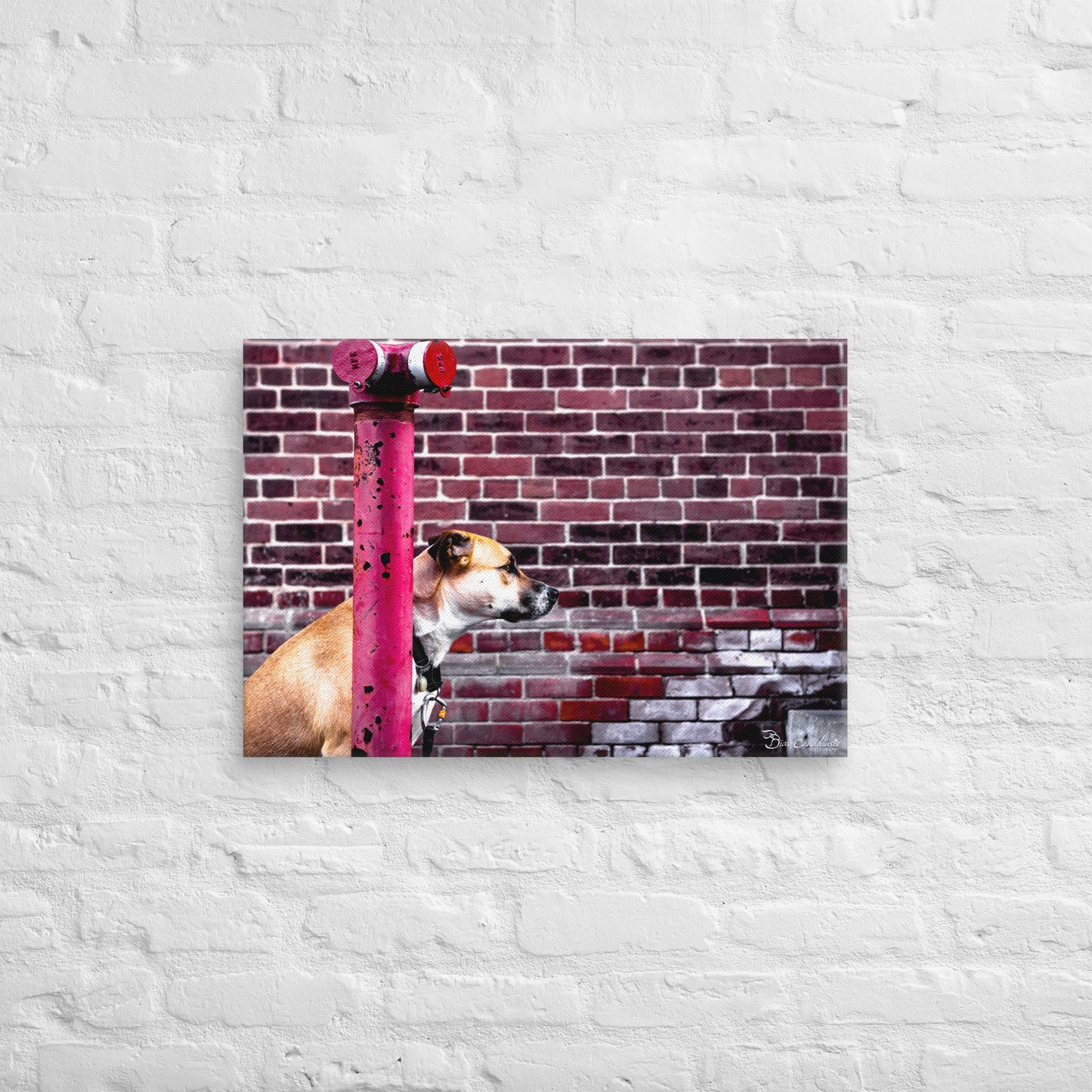 Canvas - Dog