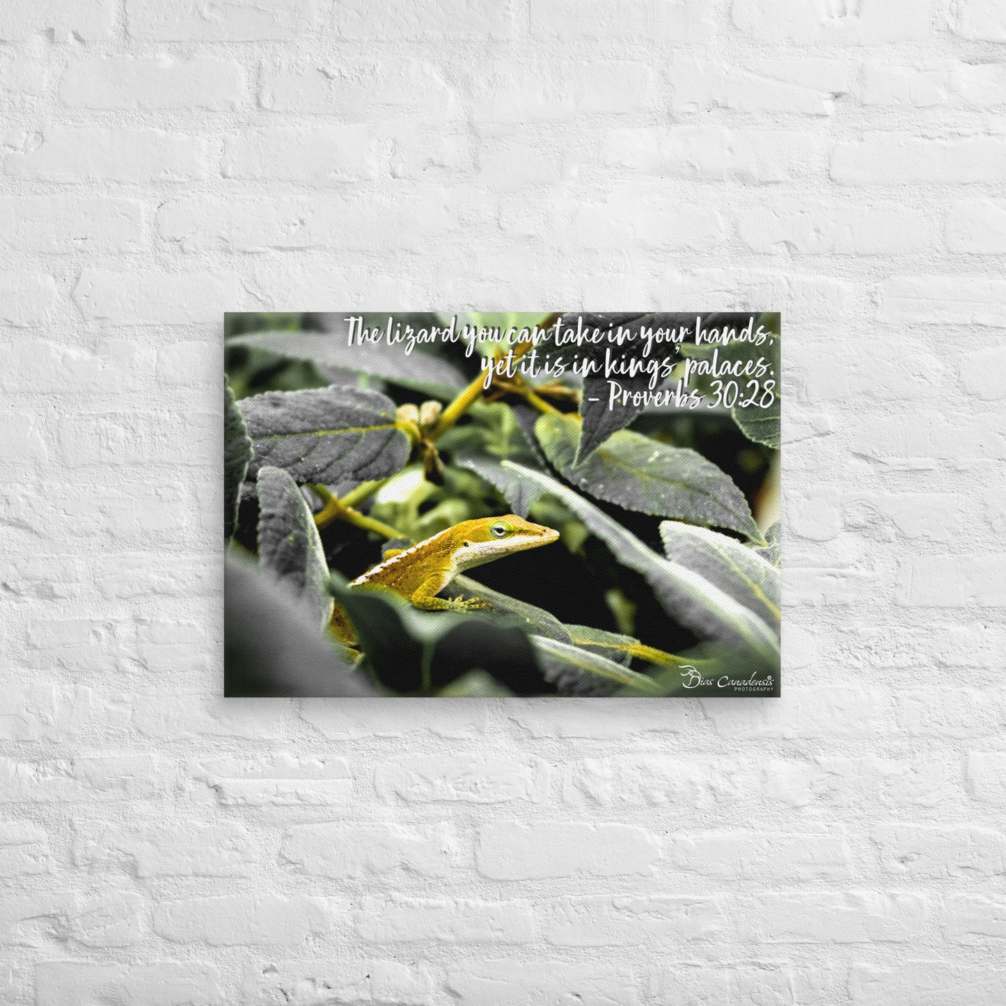 Canvas - Proverbs Wisdom Series - The Lizard