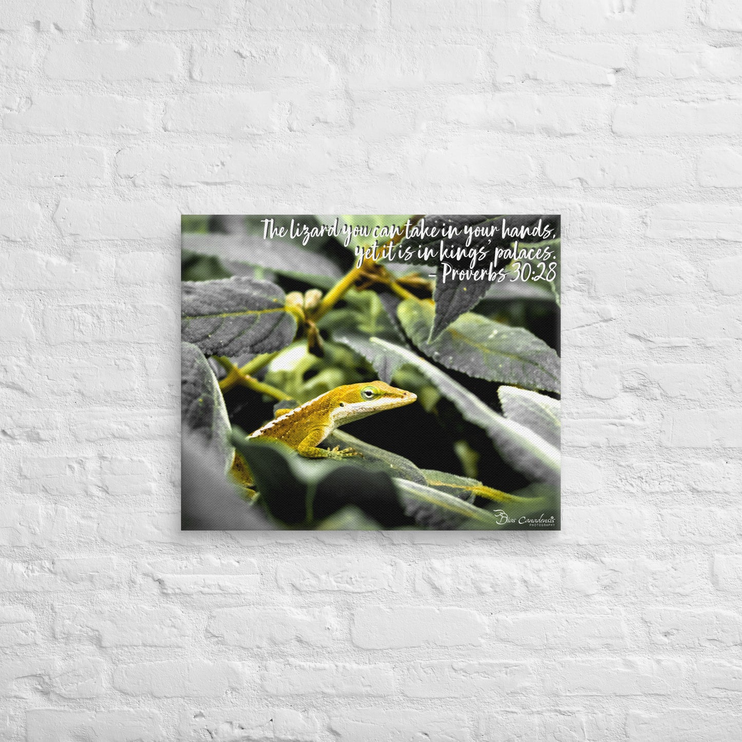 Canvas - Proverbs Wisdom Series - The Lizard