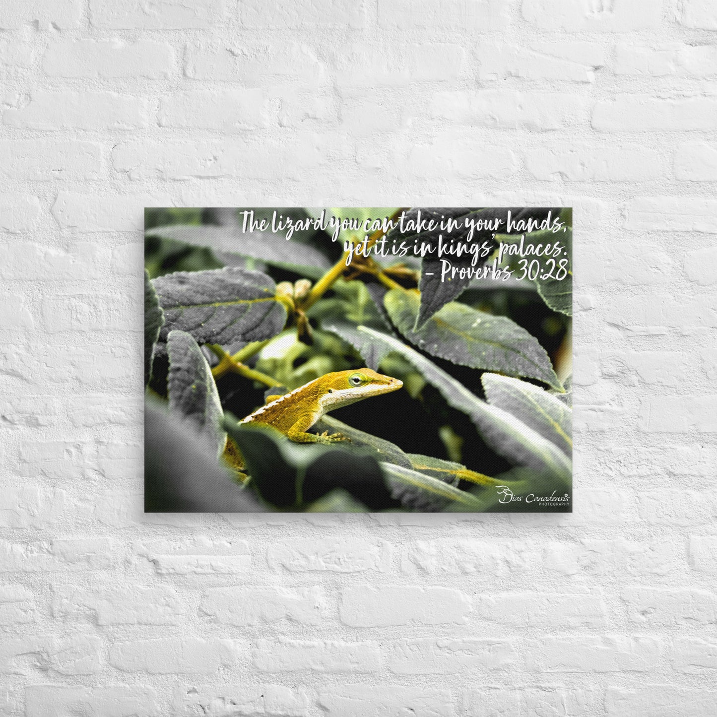 Canvas - Proverbs Wisdom Series - The Lizard