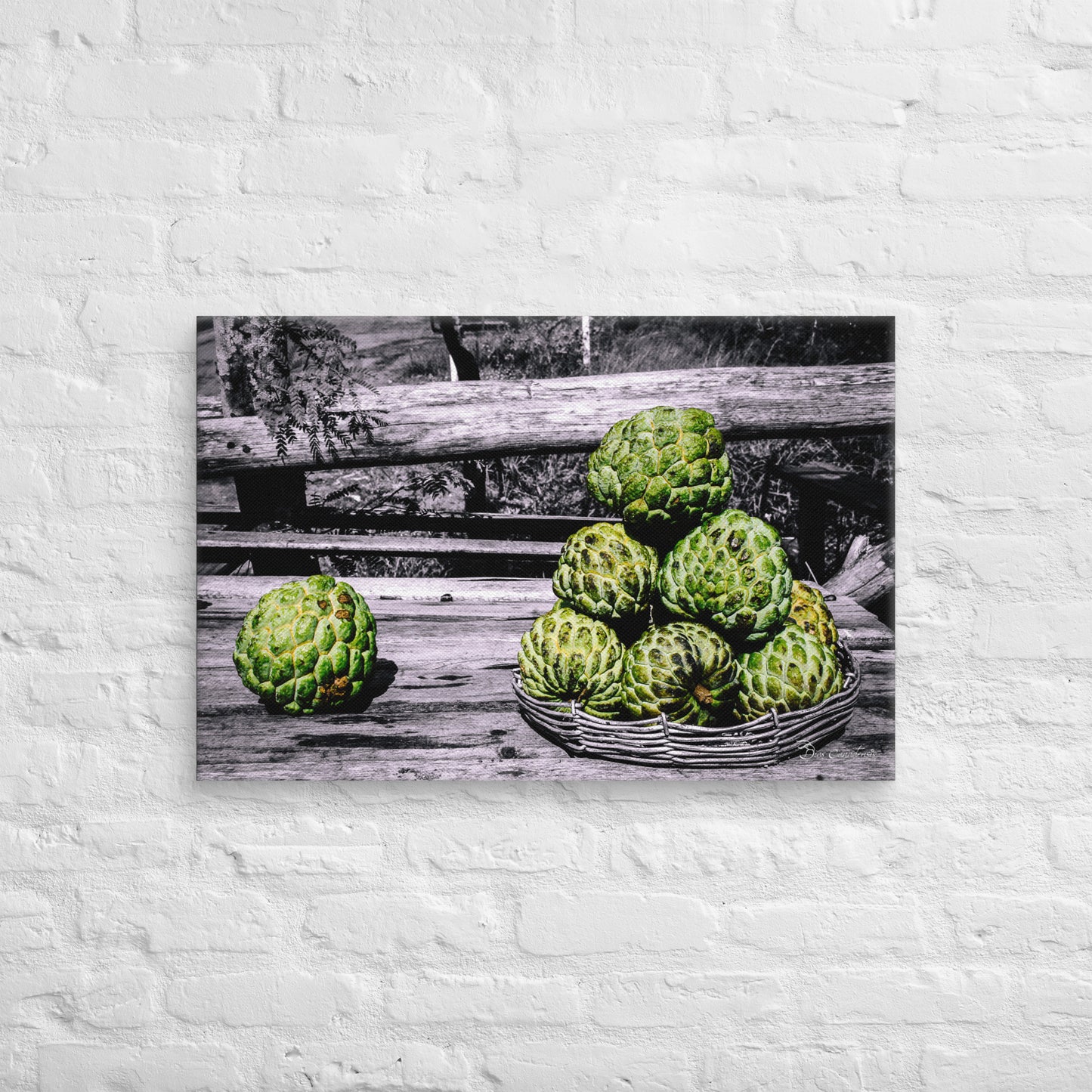 Canvas - Frutas do Conde