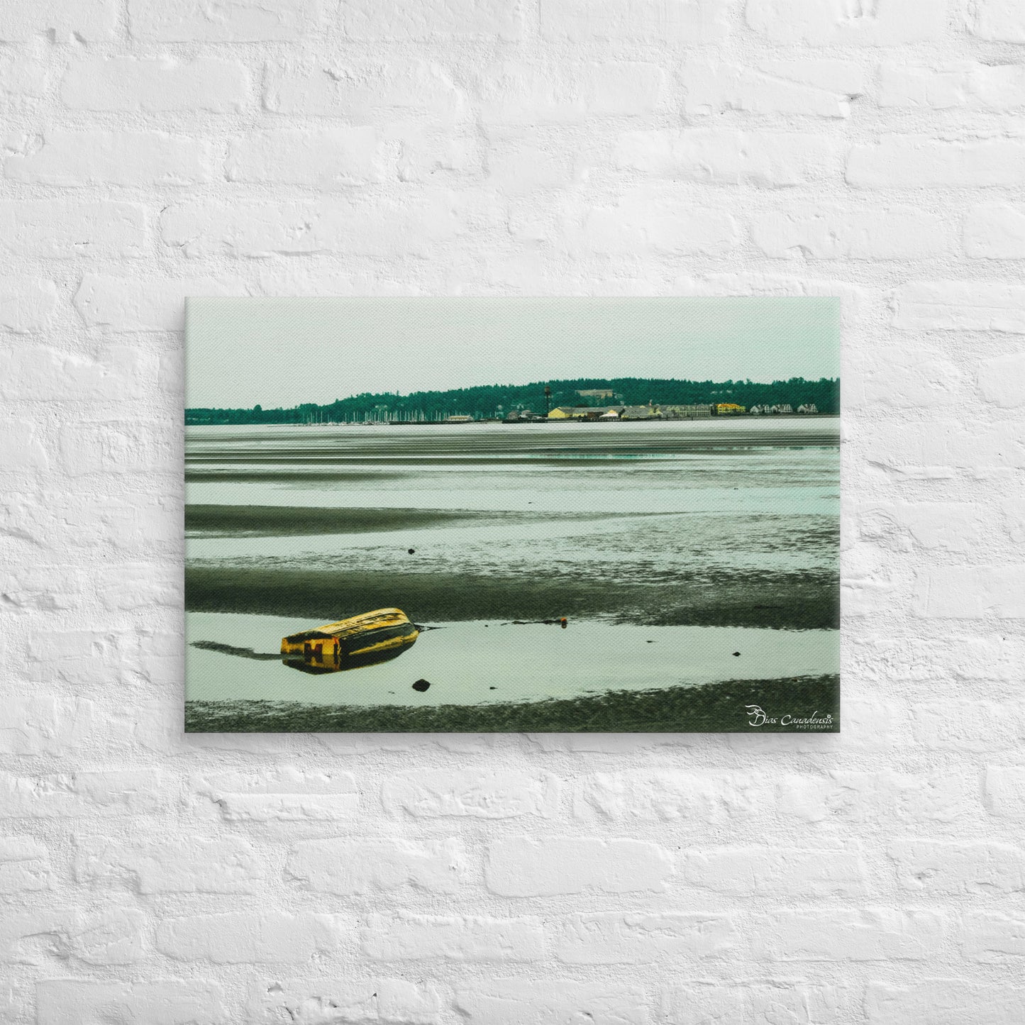 Canvas - Boat on the beach