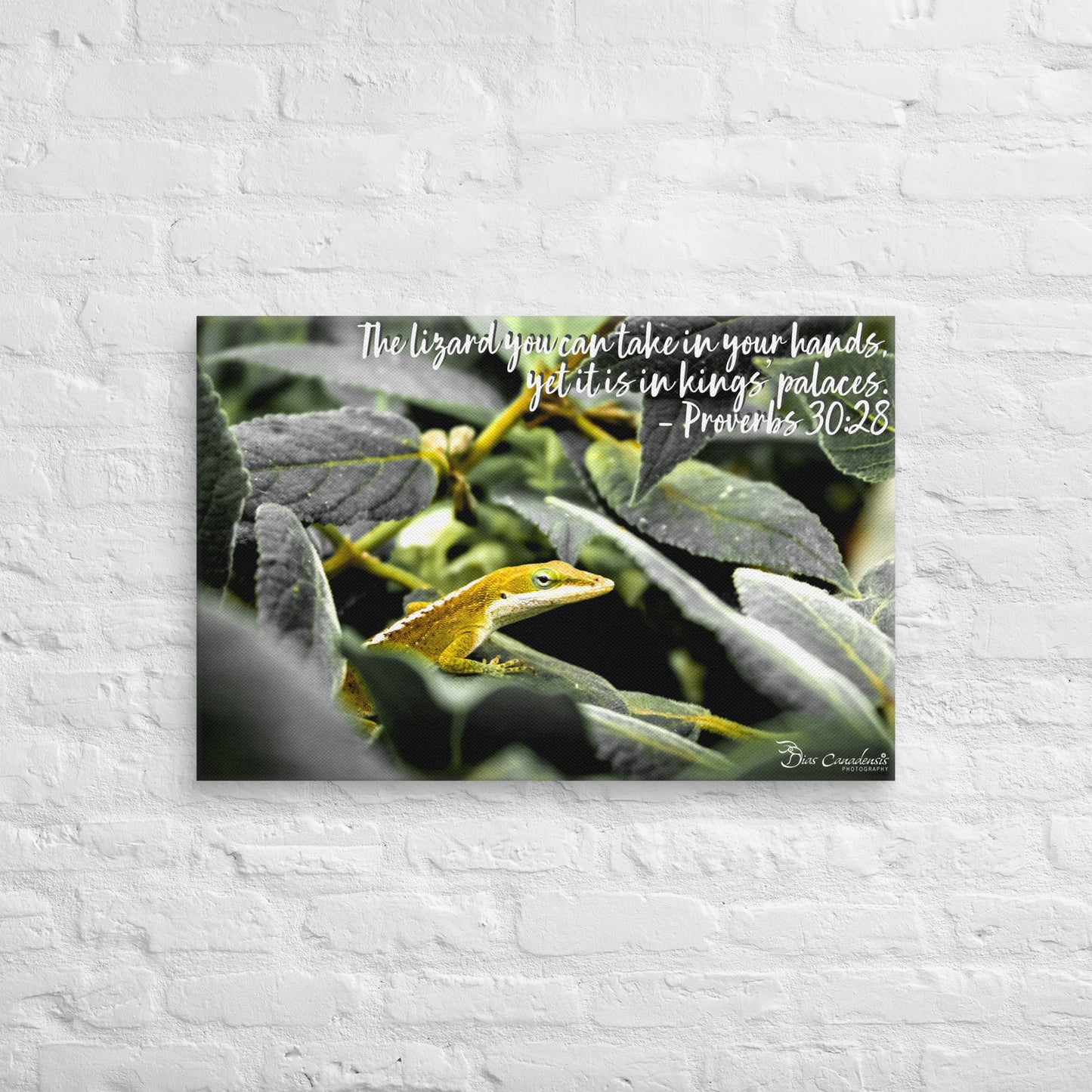 Canvas - Proverbs Wisdom Series - The Lizard