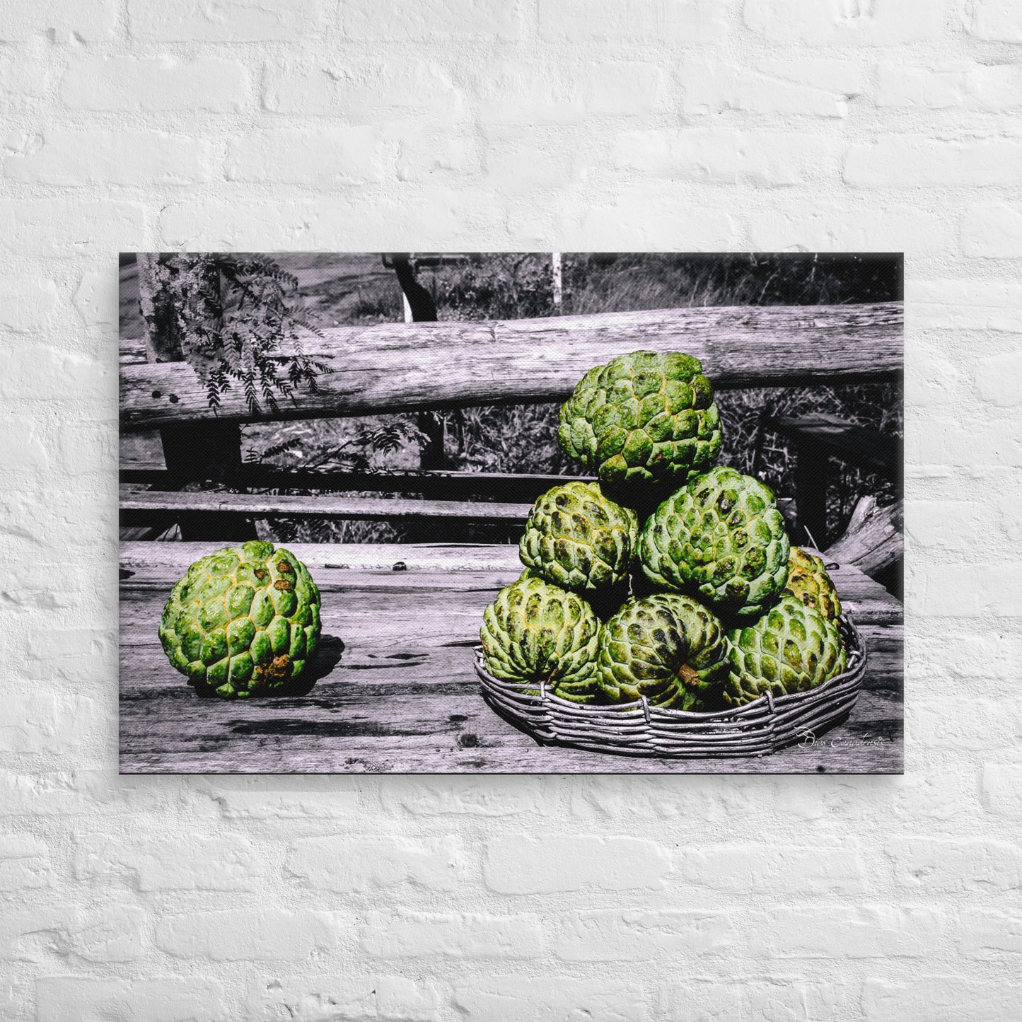 Canvas - Frutas do Conde