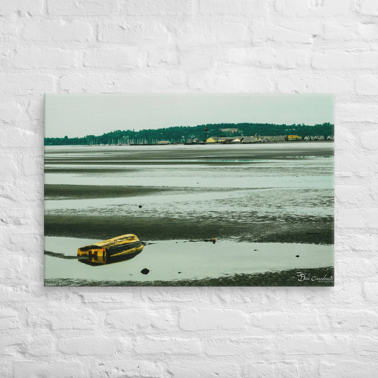 Canvas - Boat on the beach