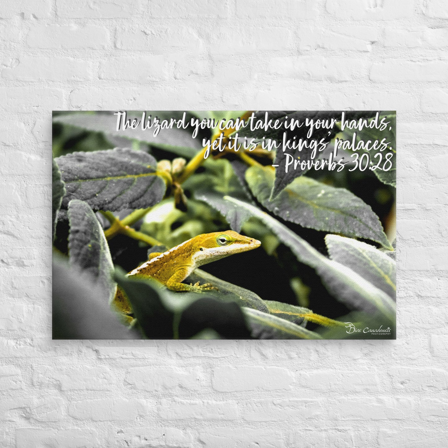 Canvas - Proverbs Wisdom Series - The Lizard