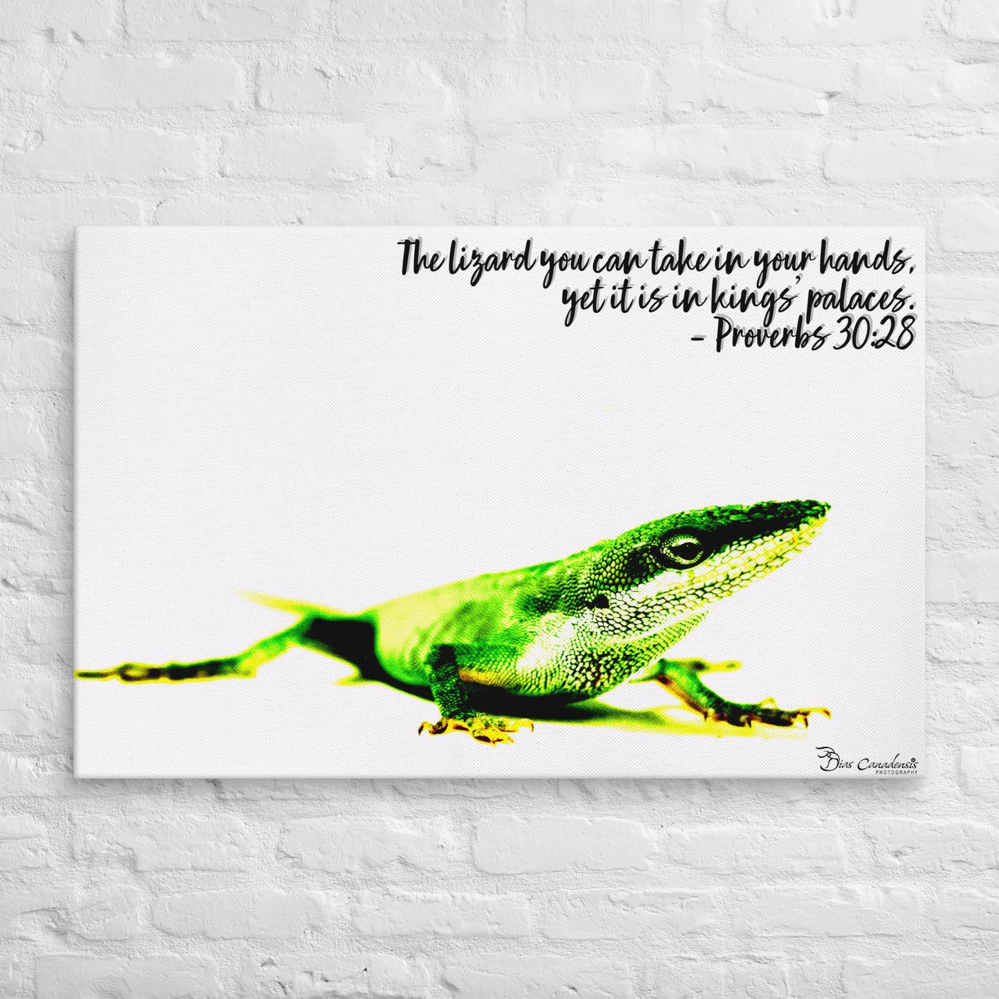Canvas - Proverbs Wisdom Series - The Lizard