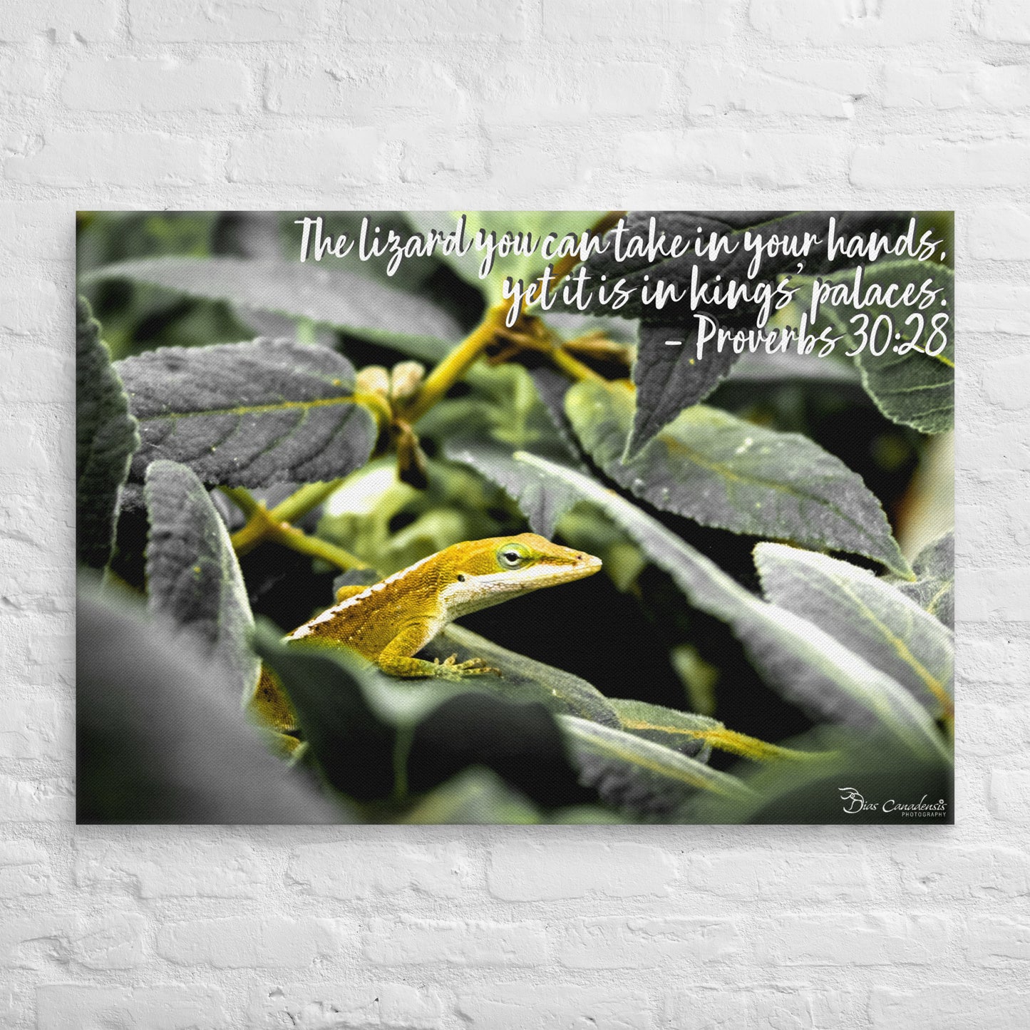 Canvas - Proverbs Wisdom Series - The Lizard