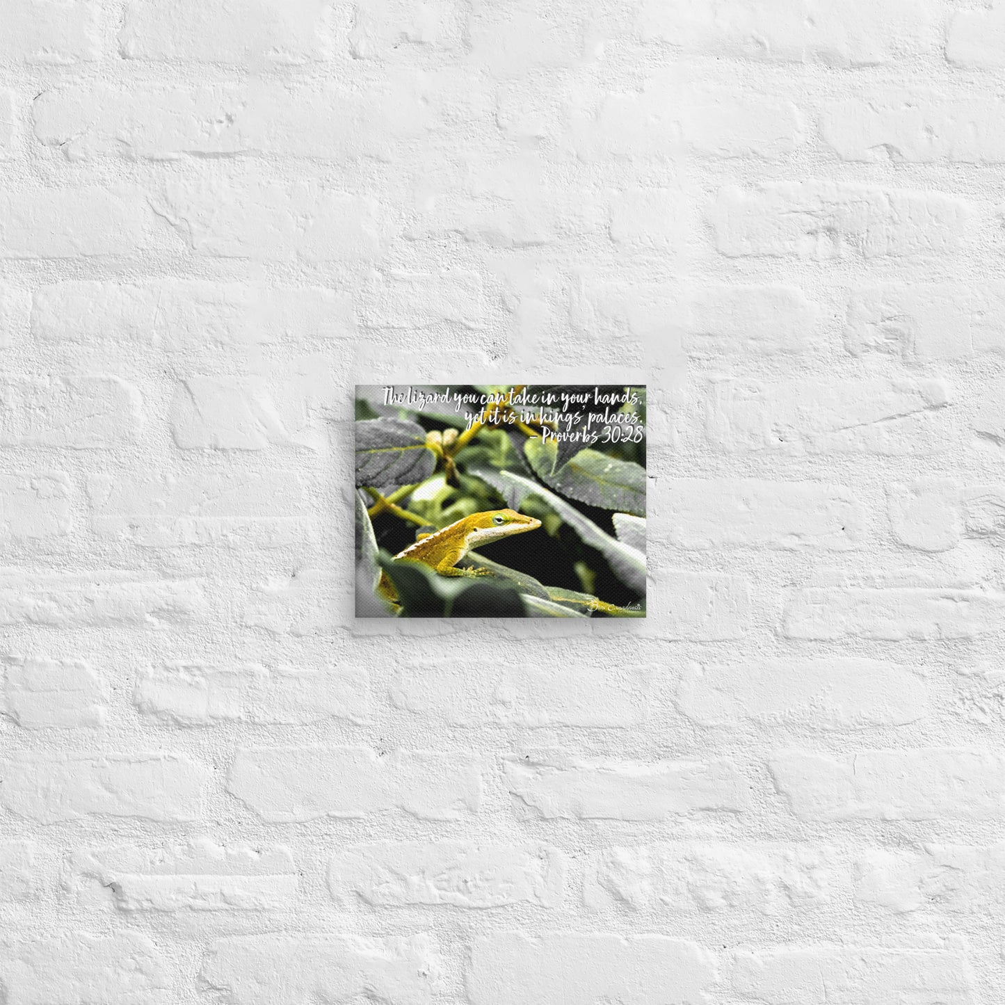 Canvas - Proverbs Wisdom Series - The Lizard