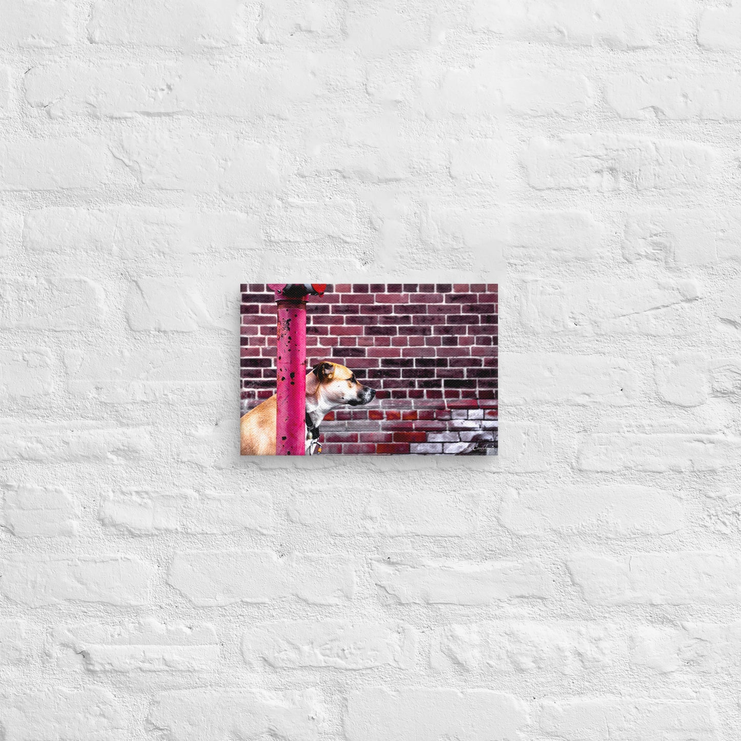 Canvas - Dog