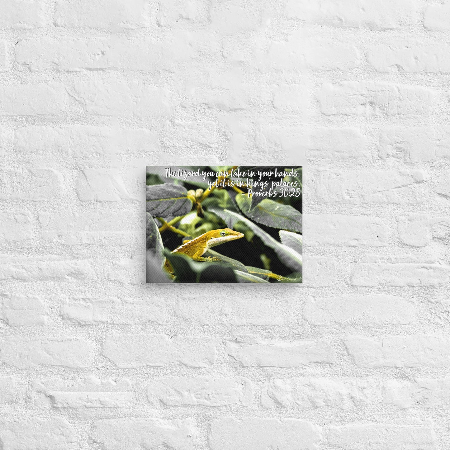 Canvas - Proverbs Wisdom Series - The Lizard