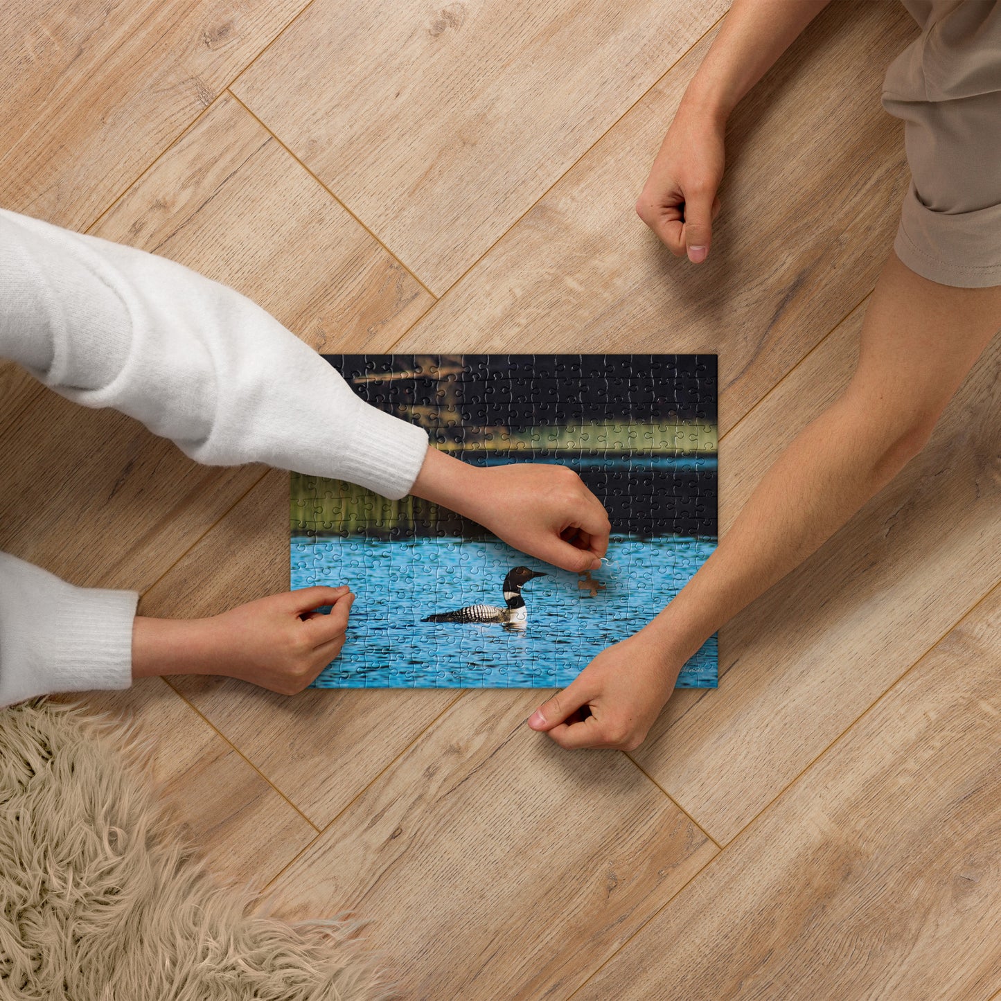 Common Loon - Jigsaw puzzle