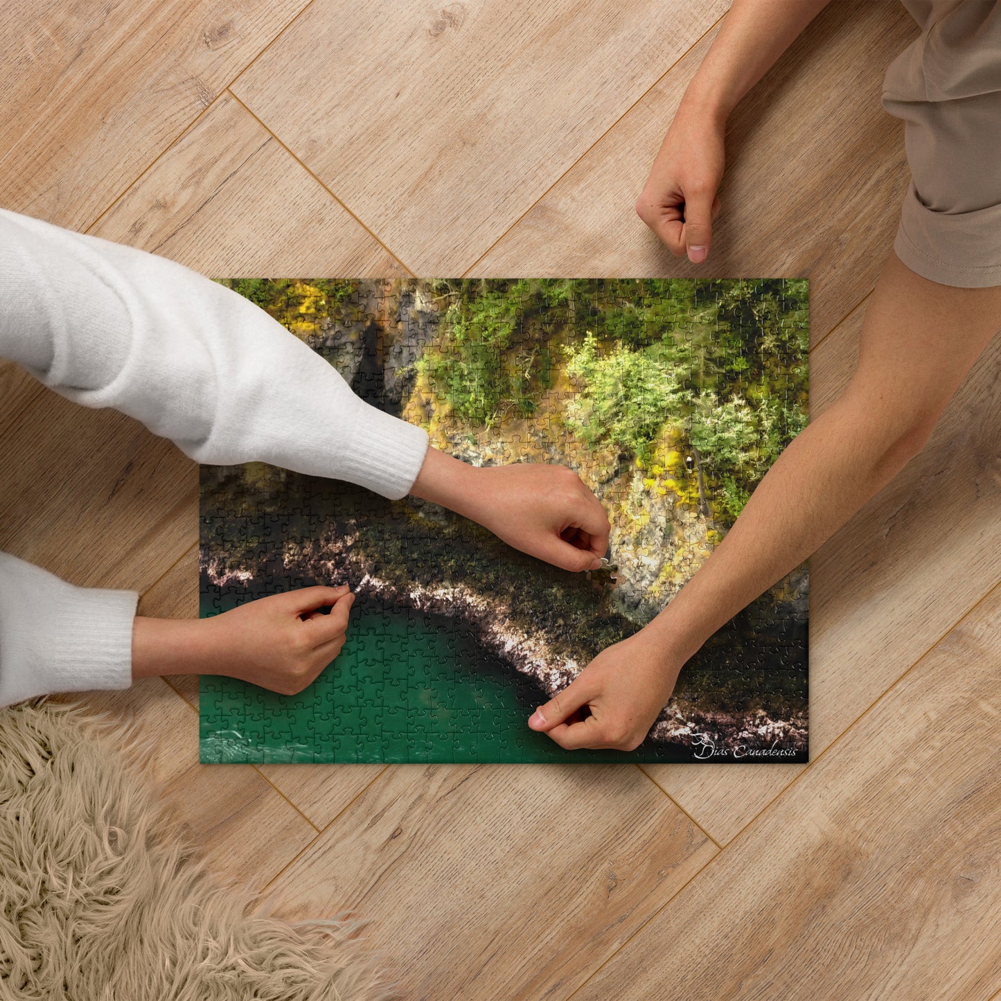 Puzzle - Deception Pass - EUA