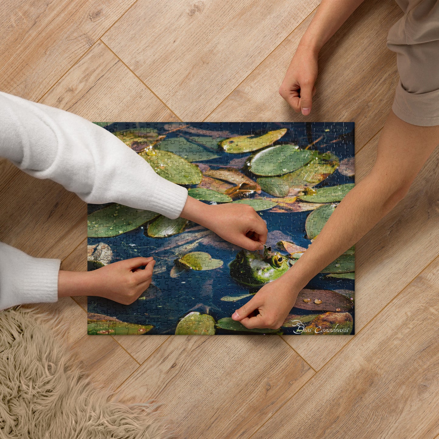 Puzzle - Green Frog - Animals