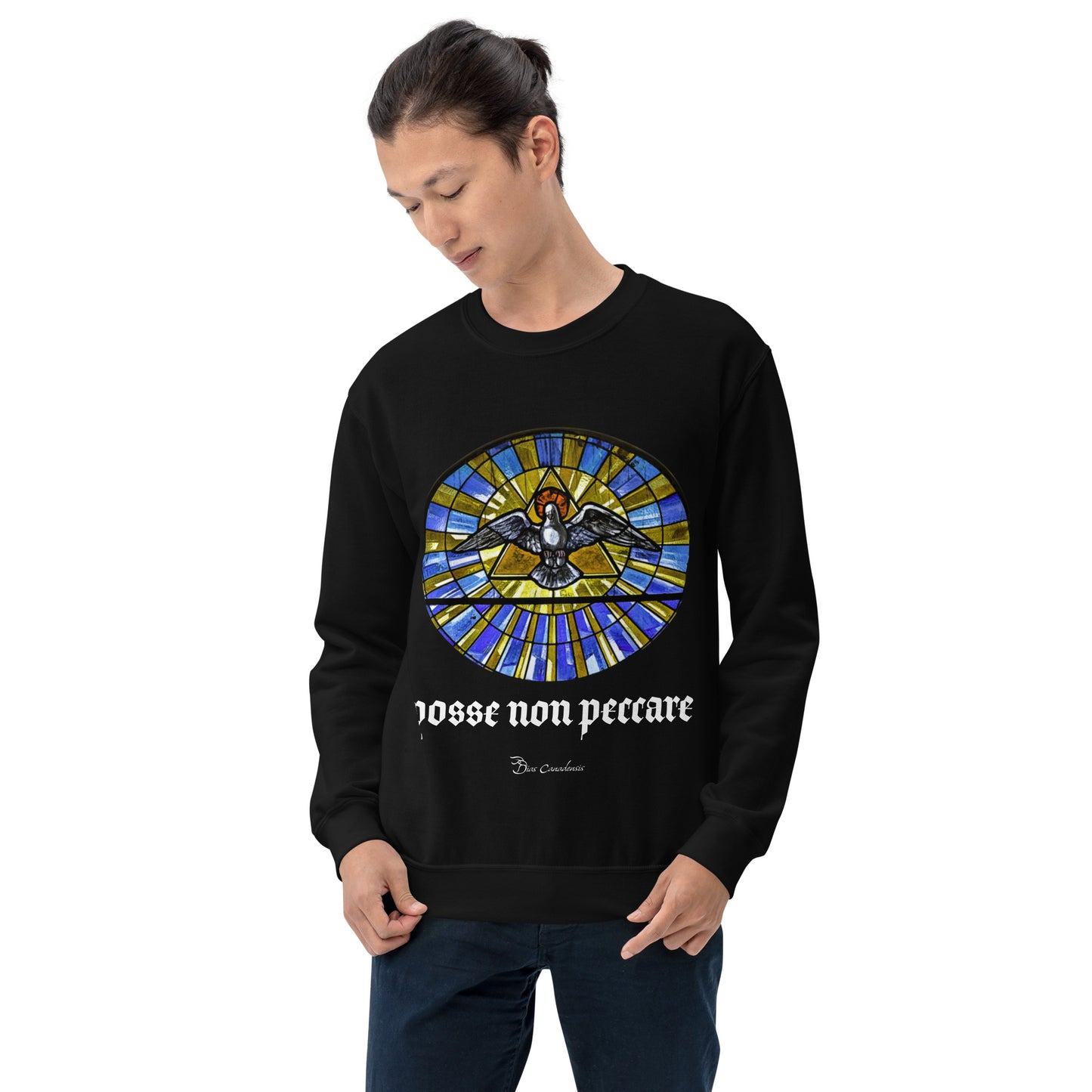 Posse Non Peccare - Unisex Sweatshirt