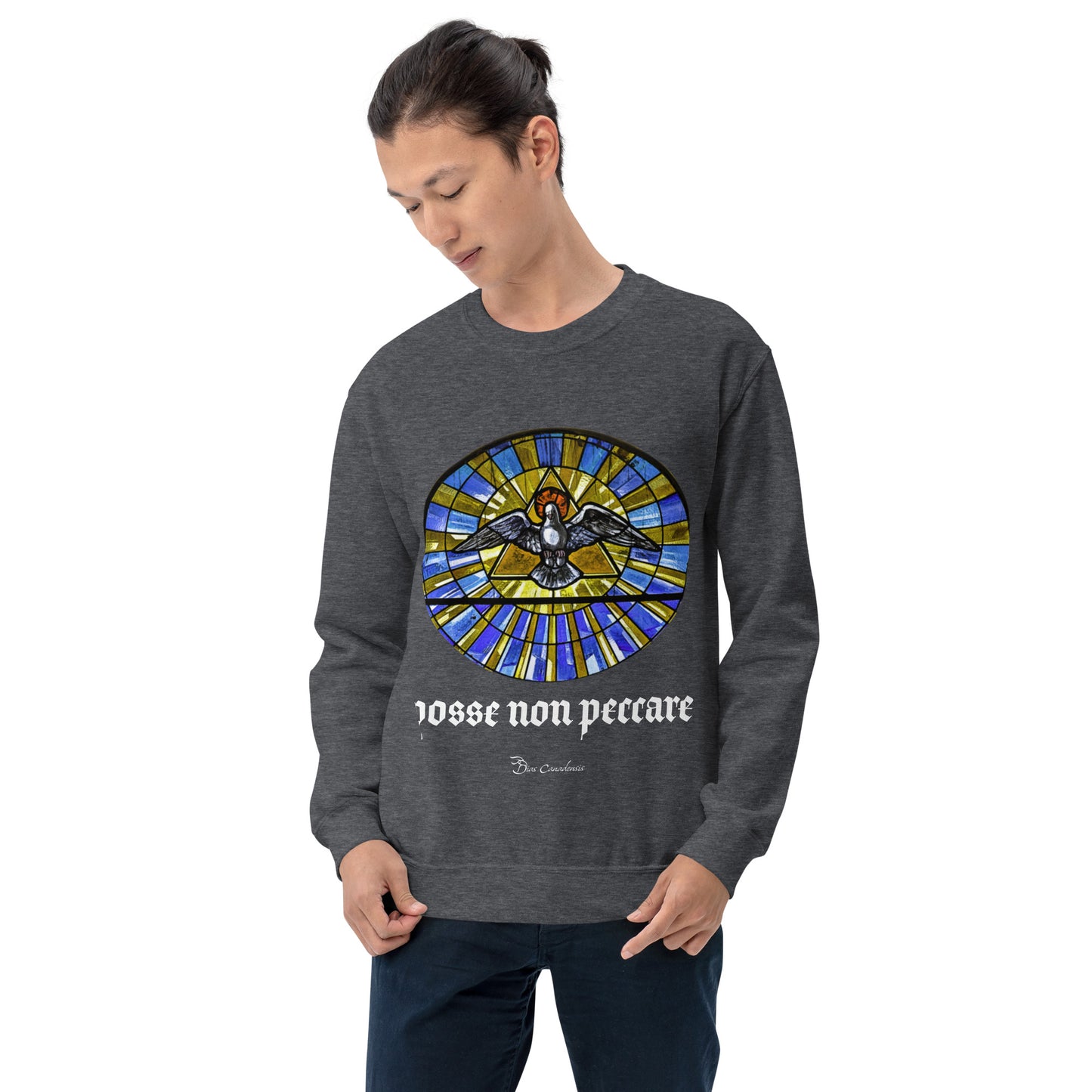 Posse Non Peccare - Unisex Sweatshirt