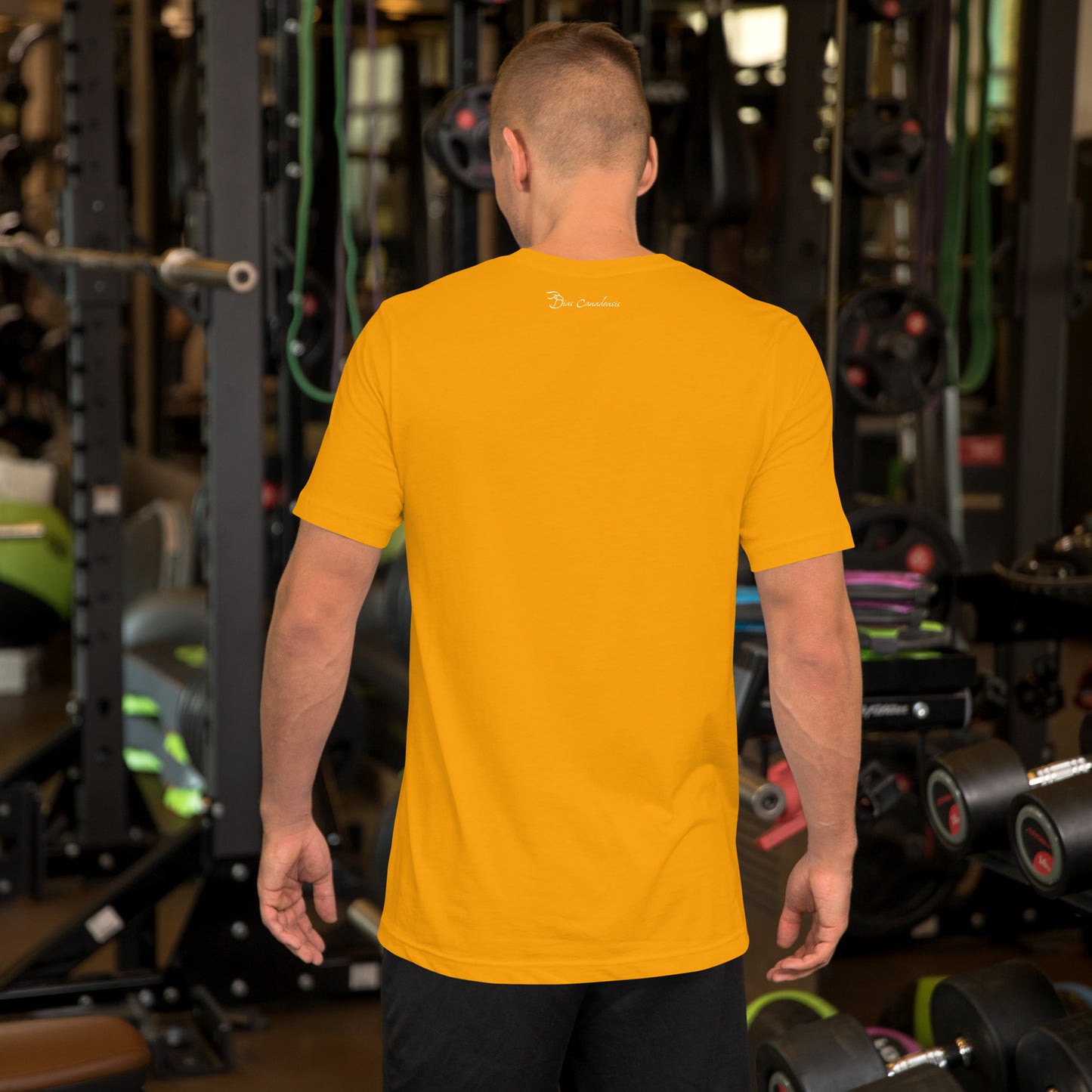 Hals - Laughing Cavalier - Camiseta unissex