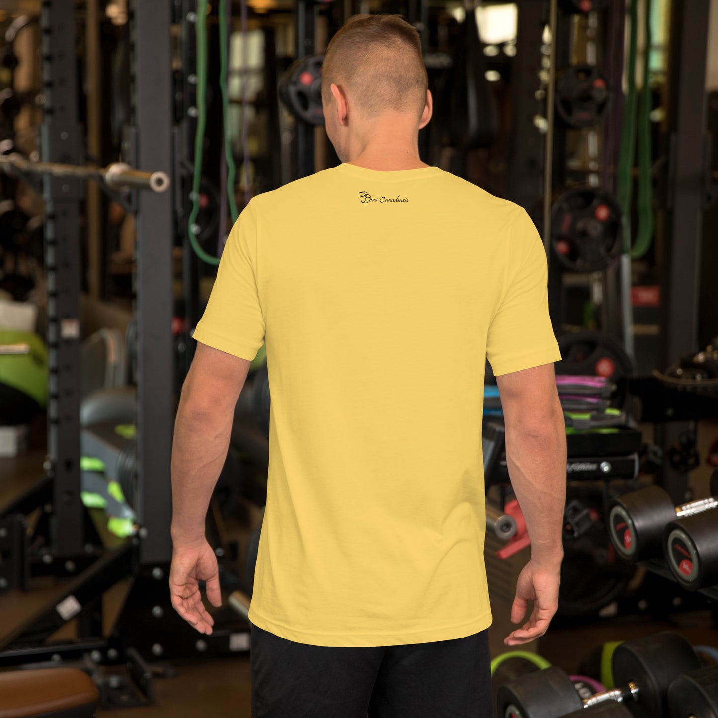 Hals - Laughing Cavalier - Camiseta unissex