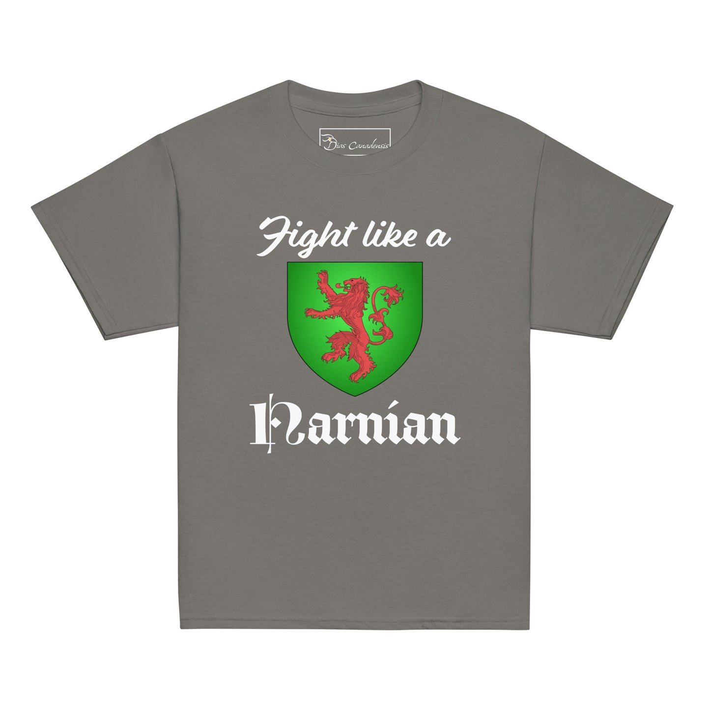 Fight like a Narnian - Youth classic tee
