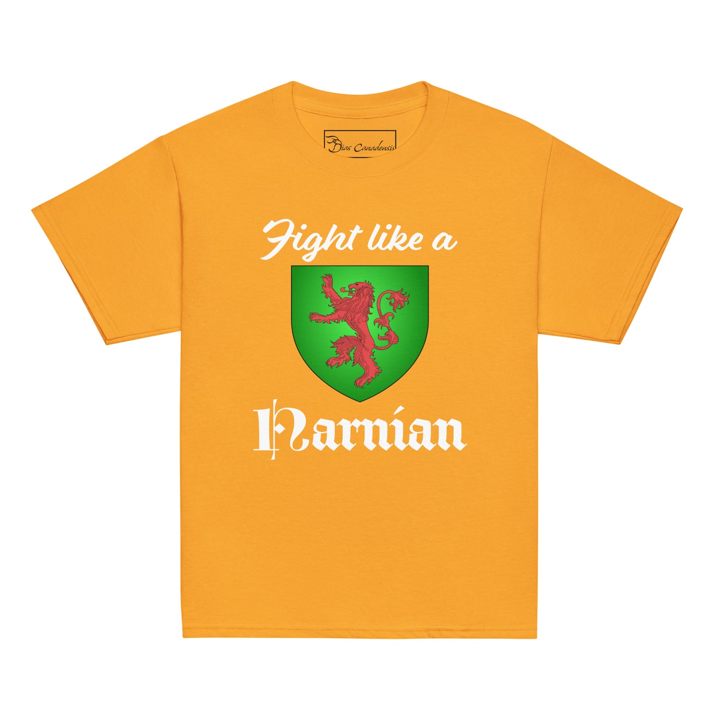Fight like a Narnian - Youth classic tee