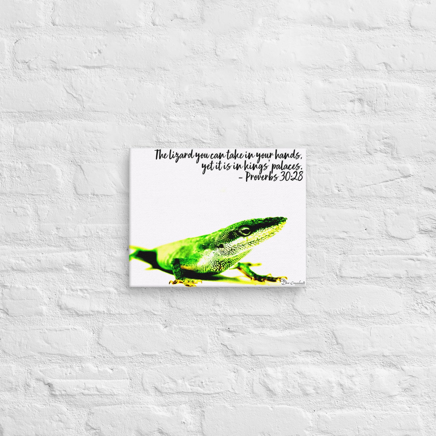 Canvas - Proverbs Wisdom Series - The Lizard