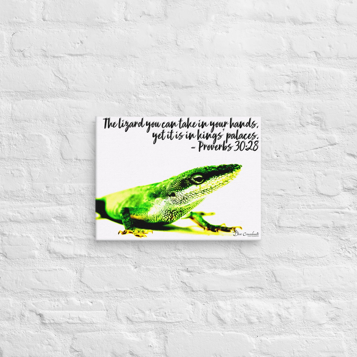 Canvas - Proverbs Wisdom Series - The Lizard