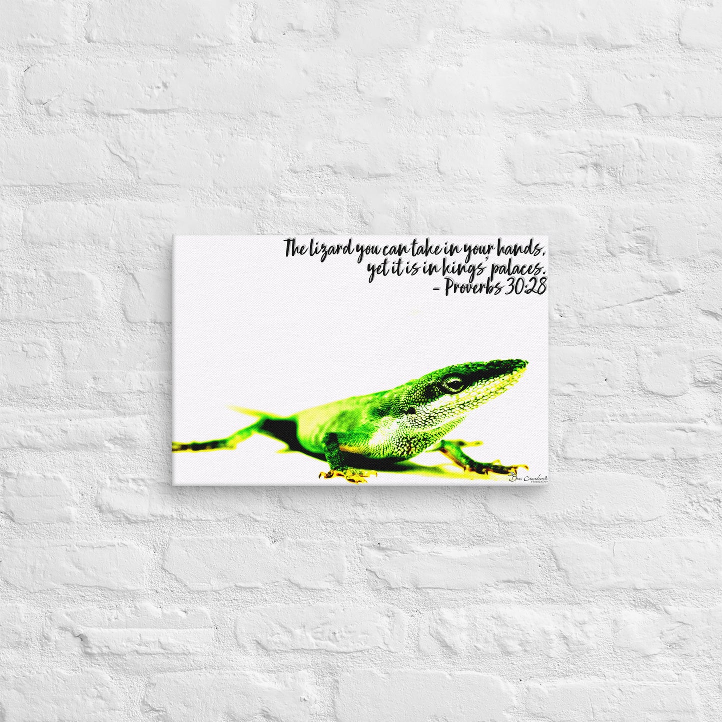 Canvas - Proverbs Wisdom Series - The Lizard