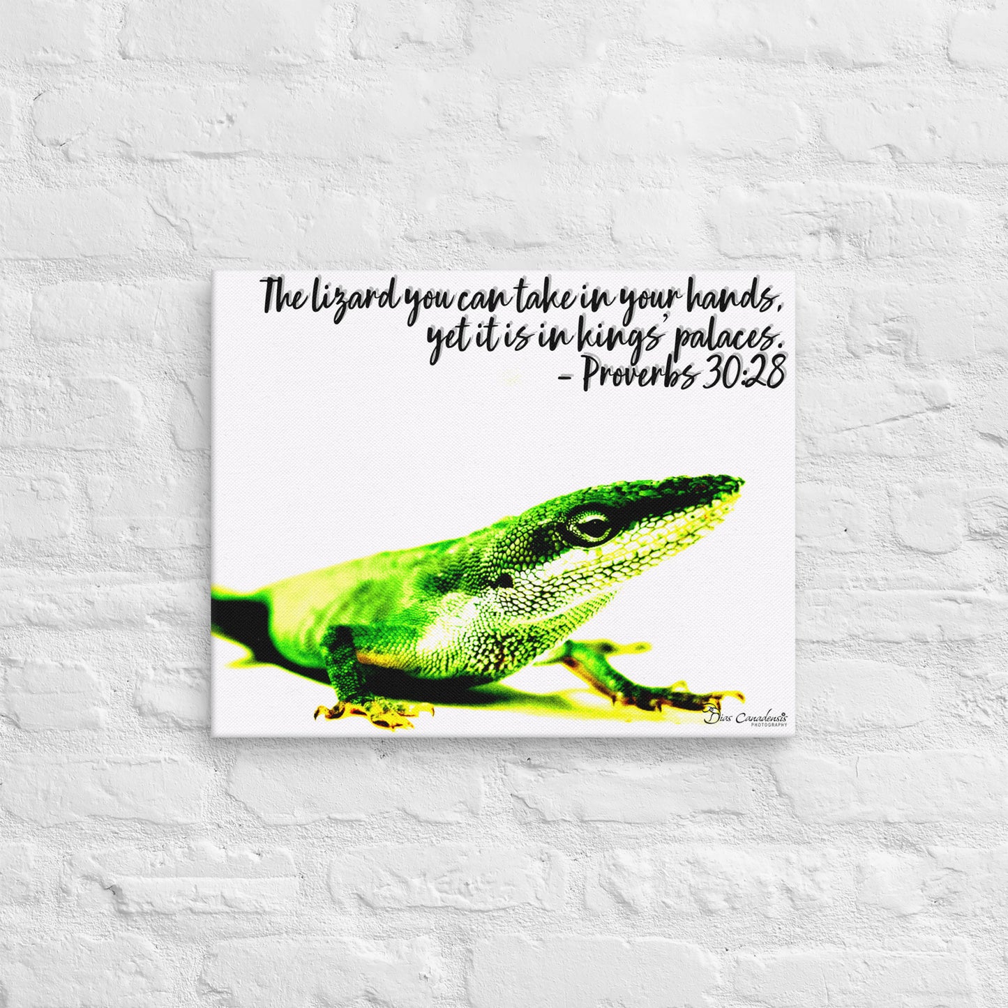 Canvas - Proverbs Wisdom Series - The Lizard