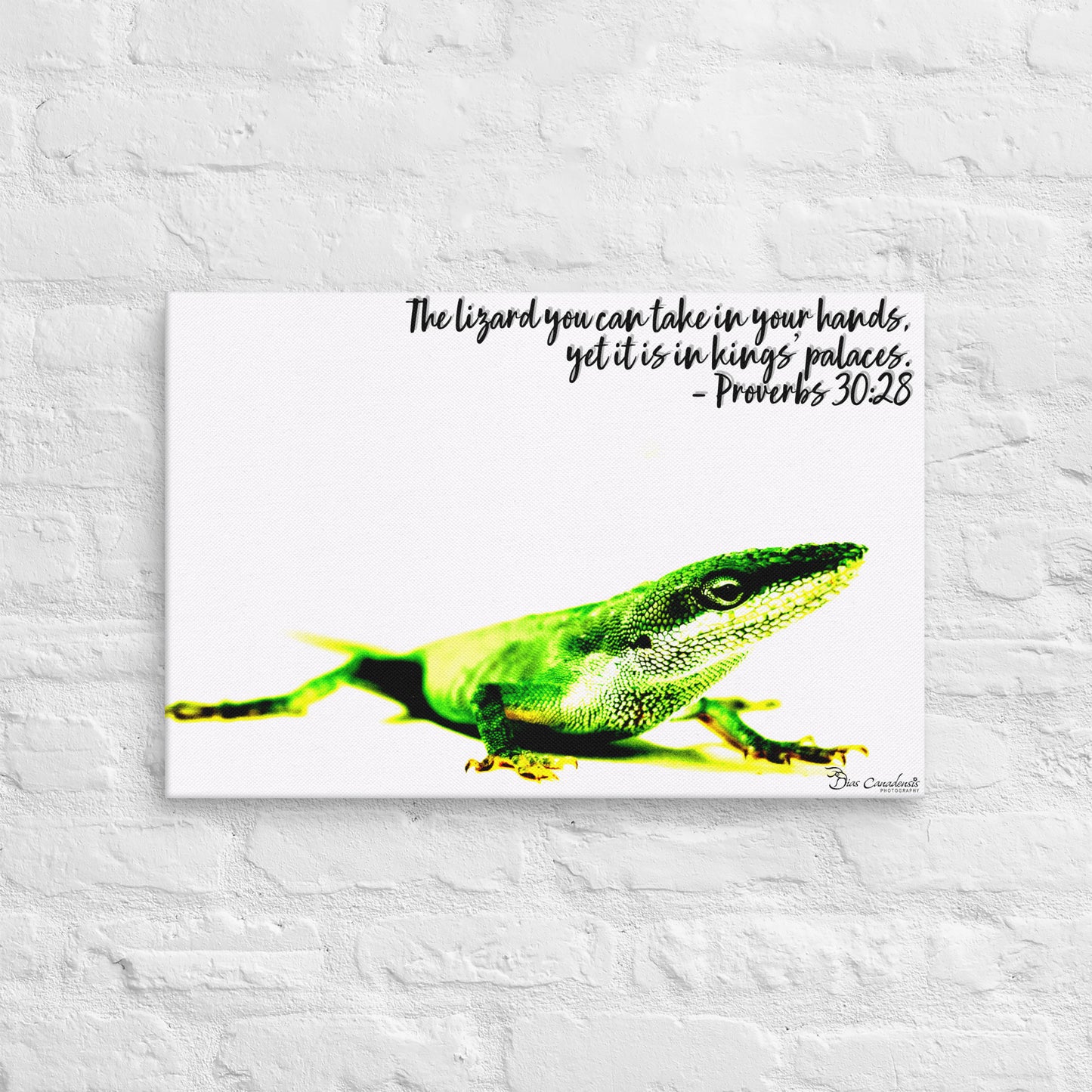 Canvas - Proverbs Wisdom Series - The Lizard