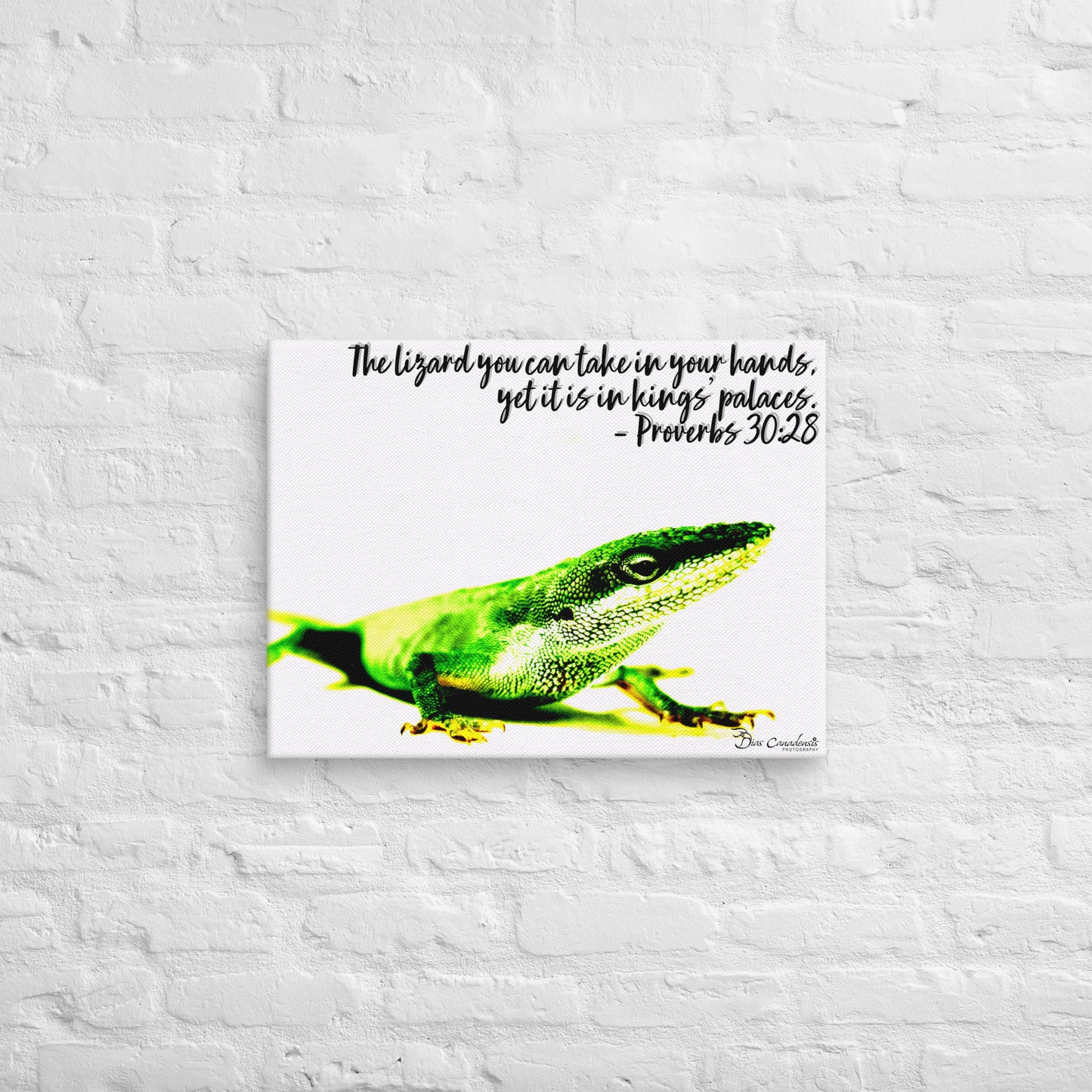 Canvas - Proverbs Wisdom Series - The Lizard