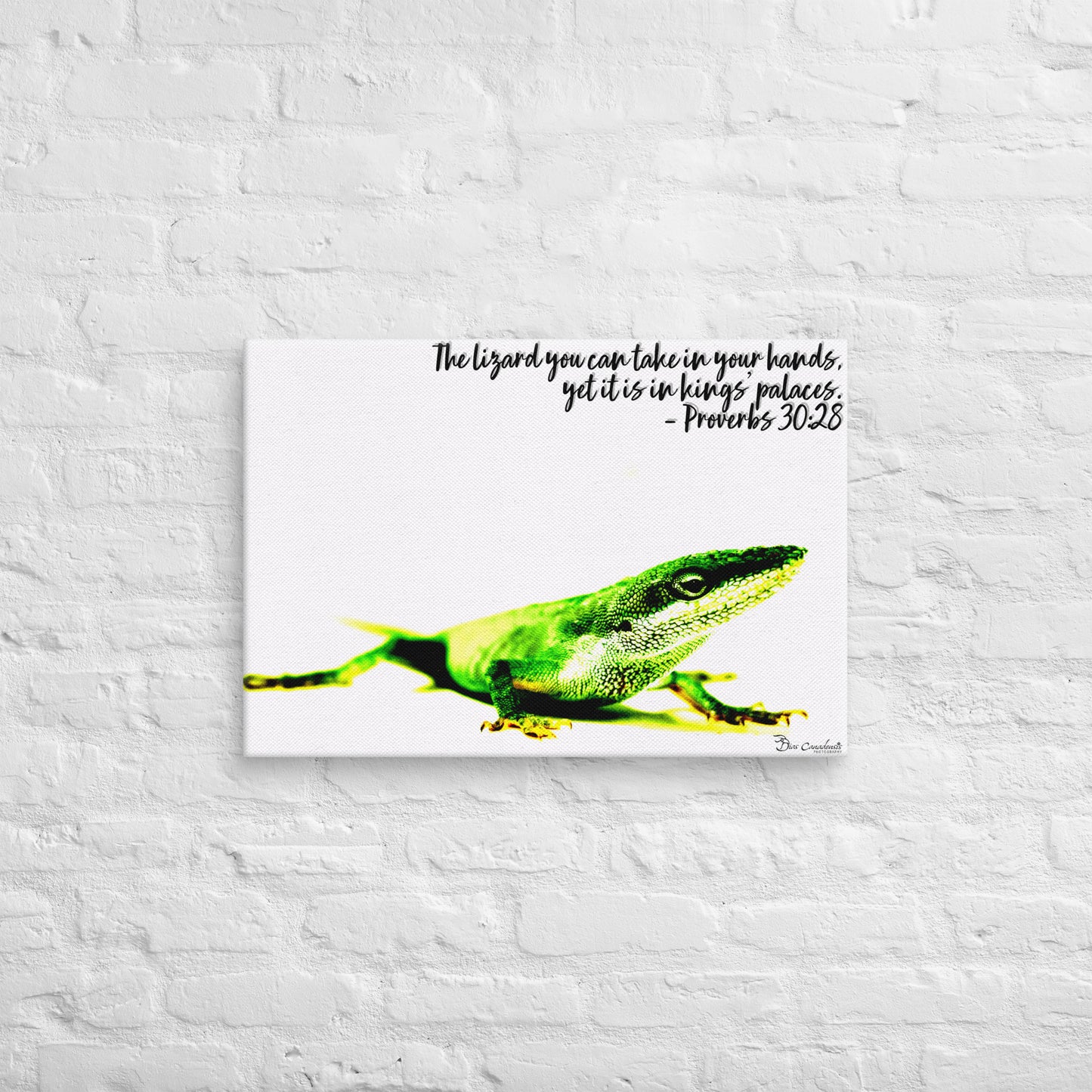 Canvas - Proverbs Wisdom Series - The Lizard