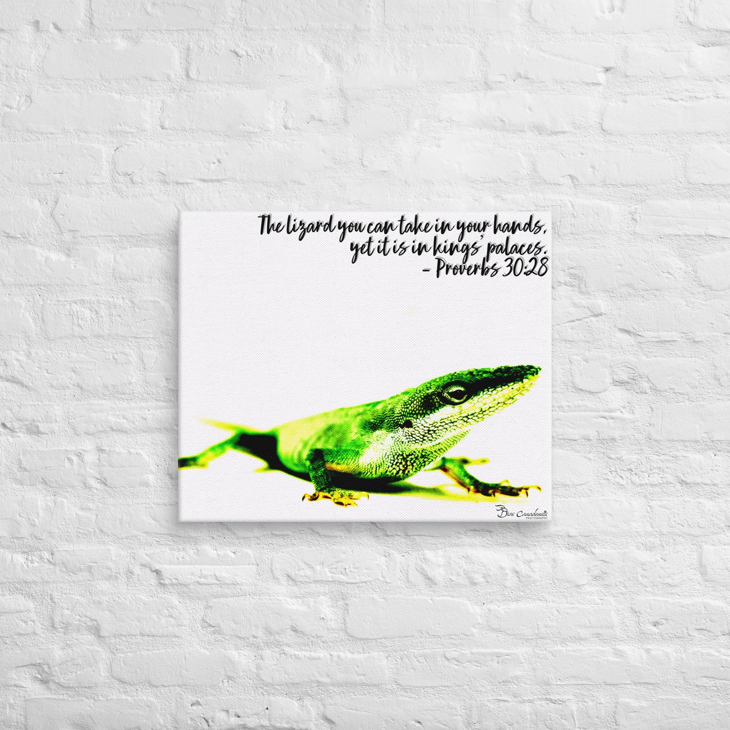 Canvas - Proverbs Wisdom Series - The Lizard