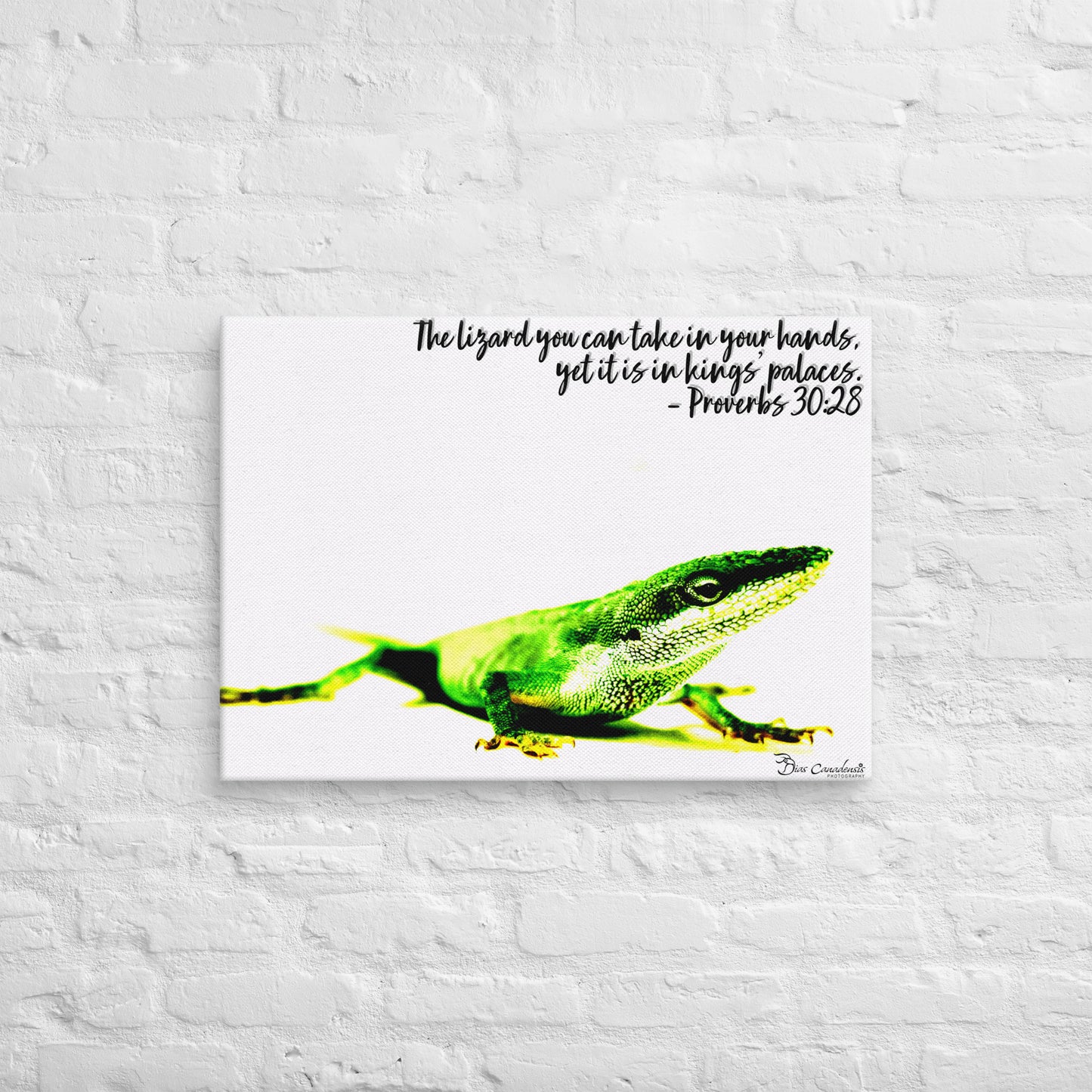 Canvas - Proverbs Wisdom Series - The Lizard