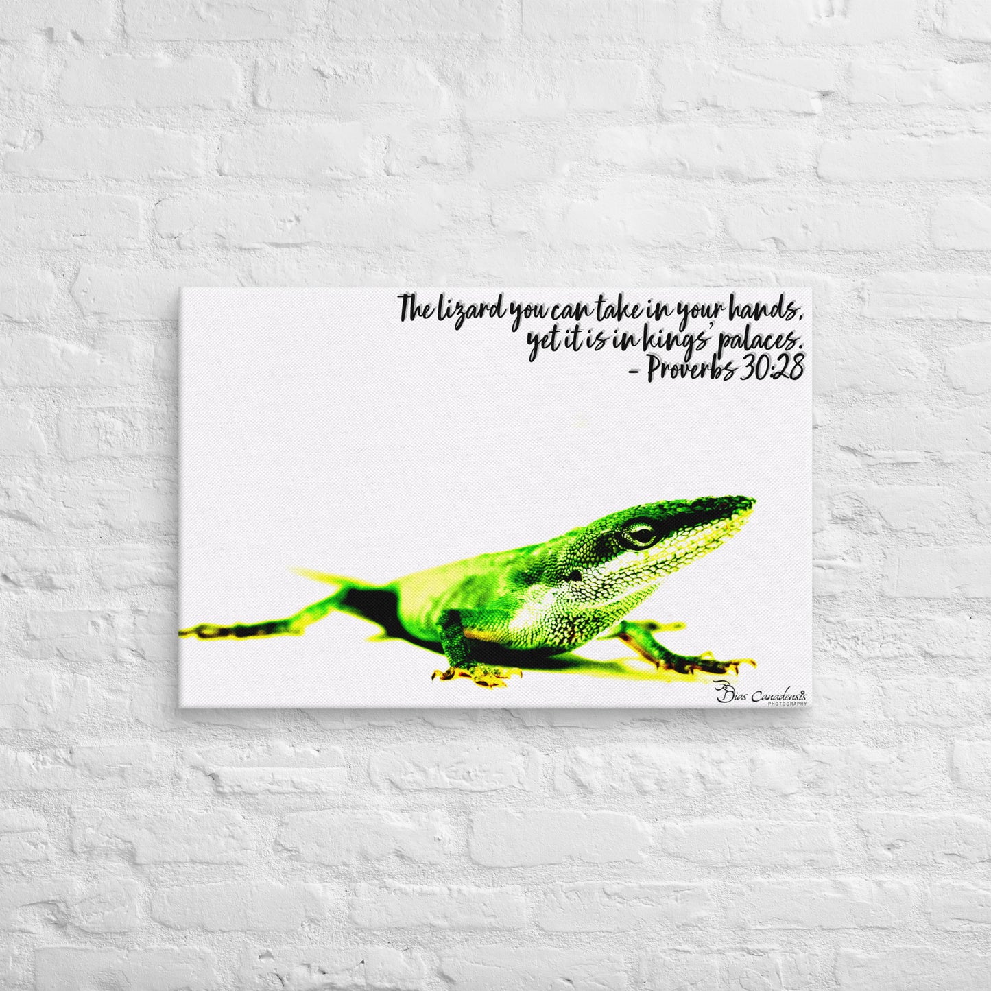 Canvas - Proverbs Wisdom Series - The Lizard