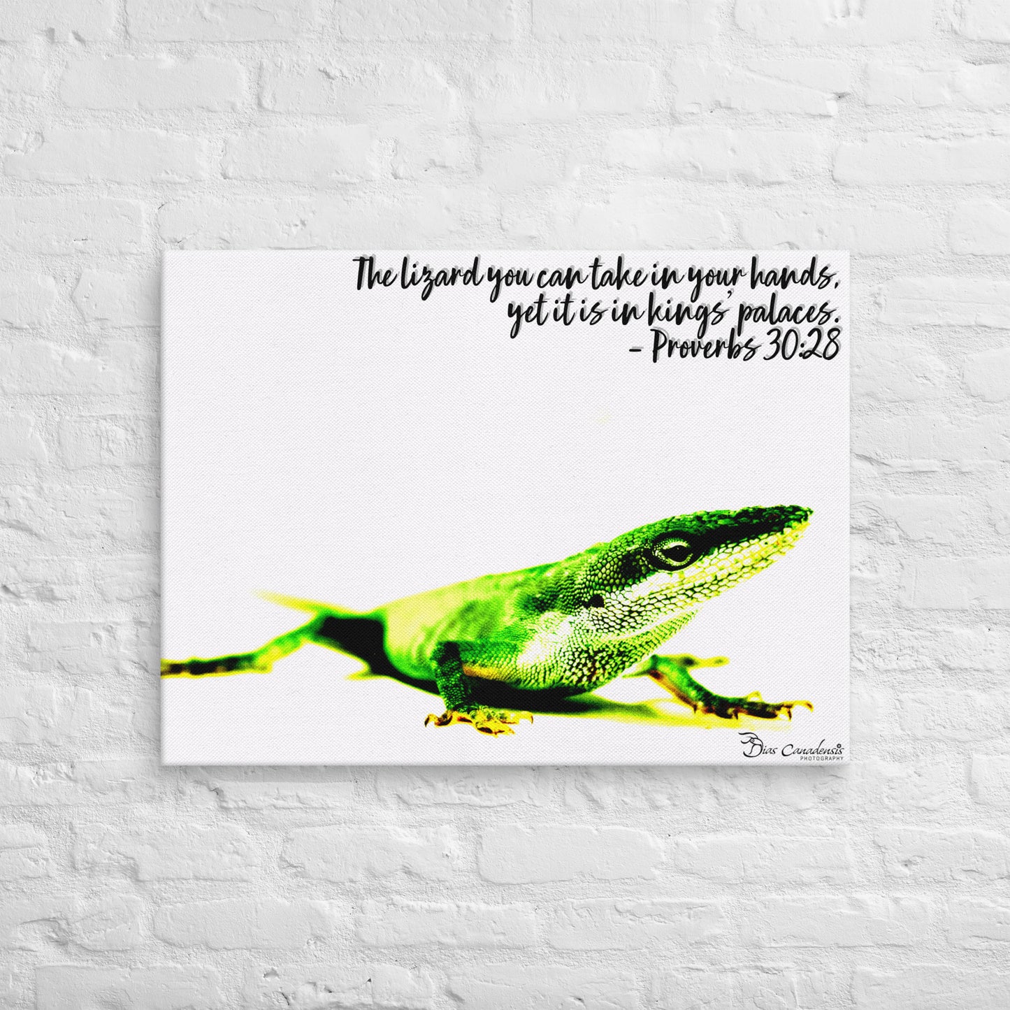 Canvas - Proverbs Wisdom Series - The Lizard