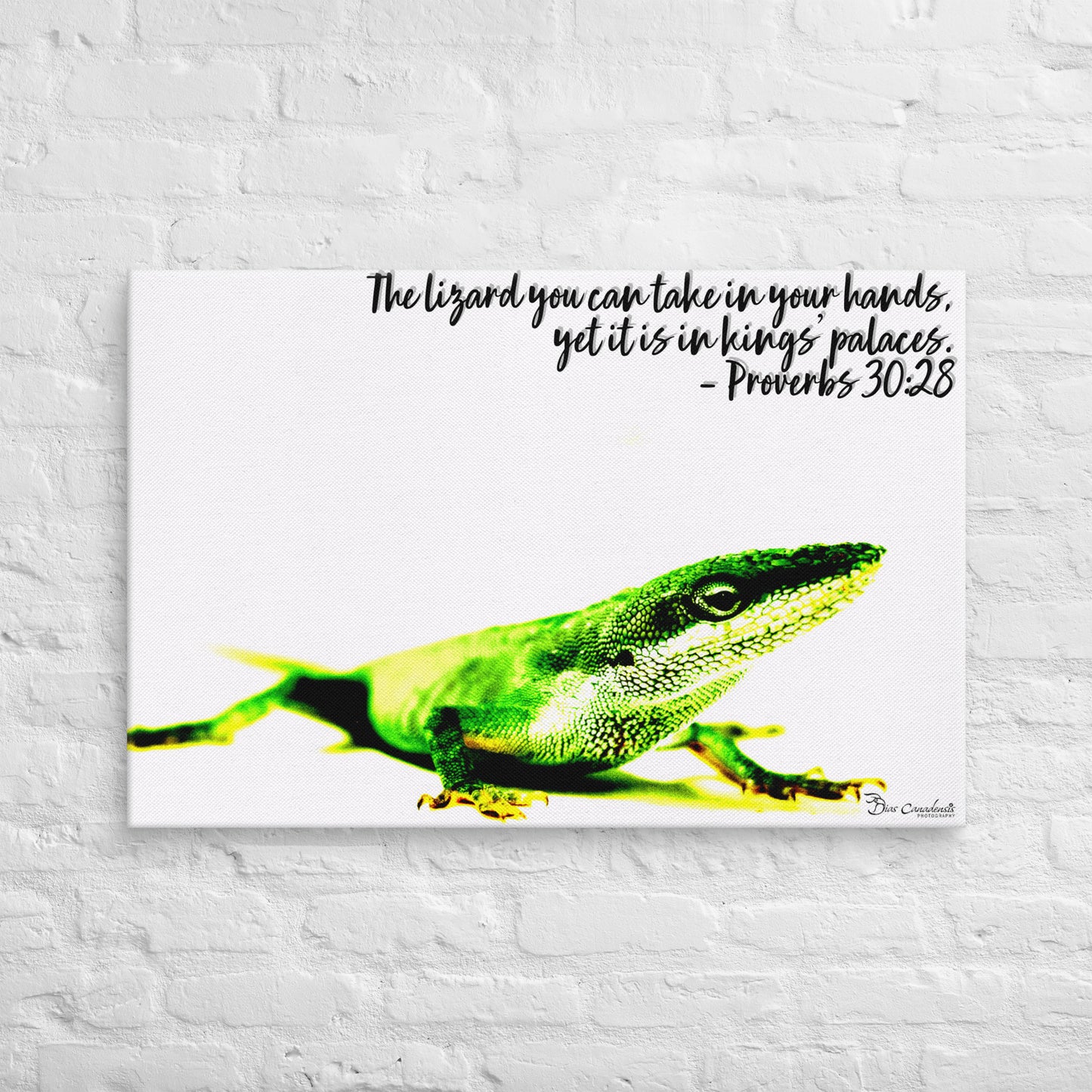 Canvas - Proverbs Wisdom Series - The Lizard