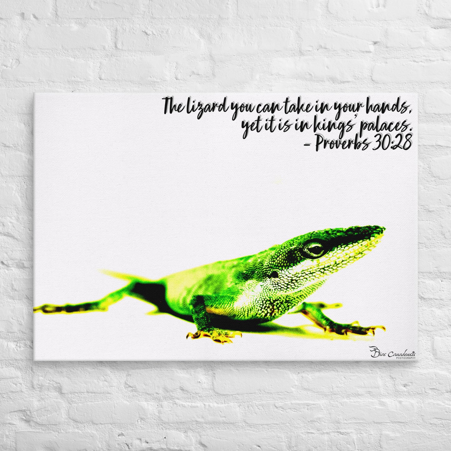 Canvas - Proverbs Wisdom Series - The Lizard