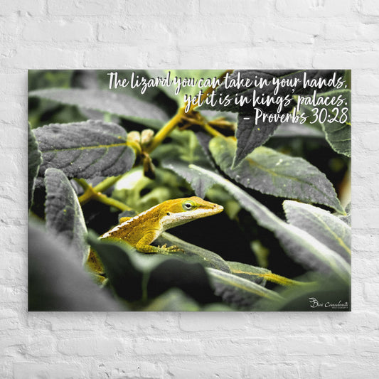 Canvas - Proverbs Wisdom Series - The Lizard