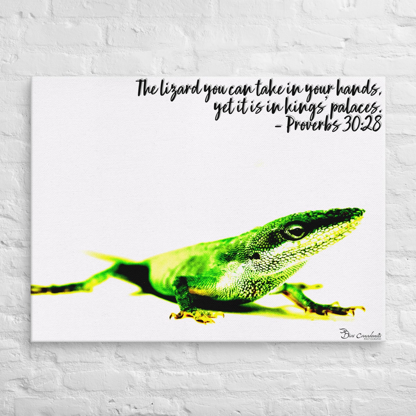 Canvas - Proverbs Wisdom Series - The Lizard