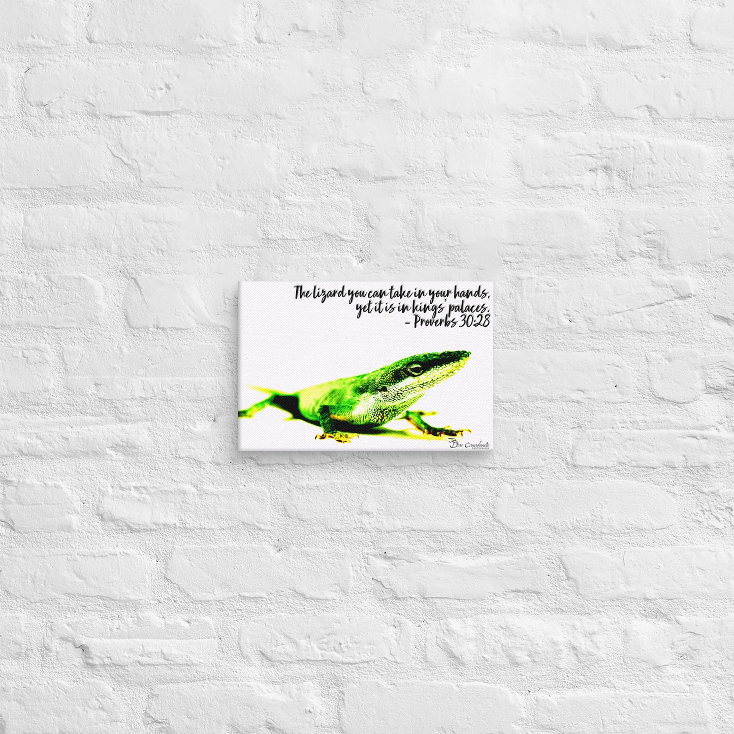 Canvas - Proverbs Wisdom Series - The Lizard