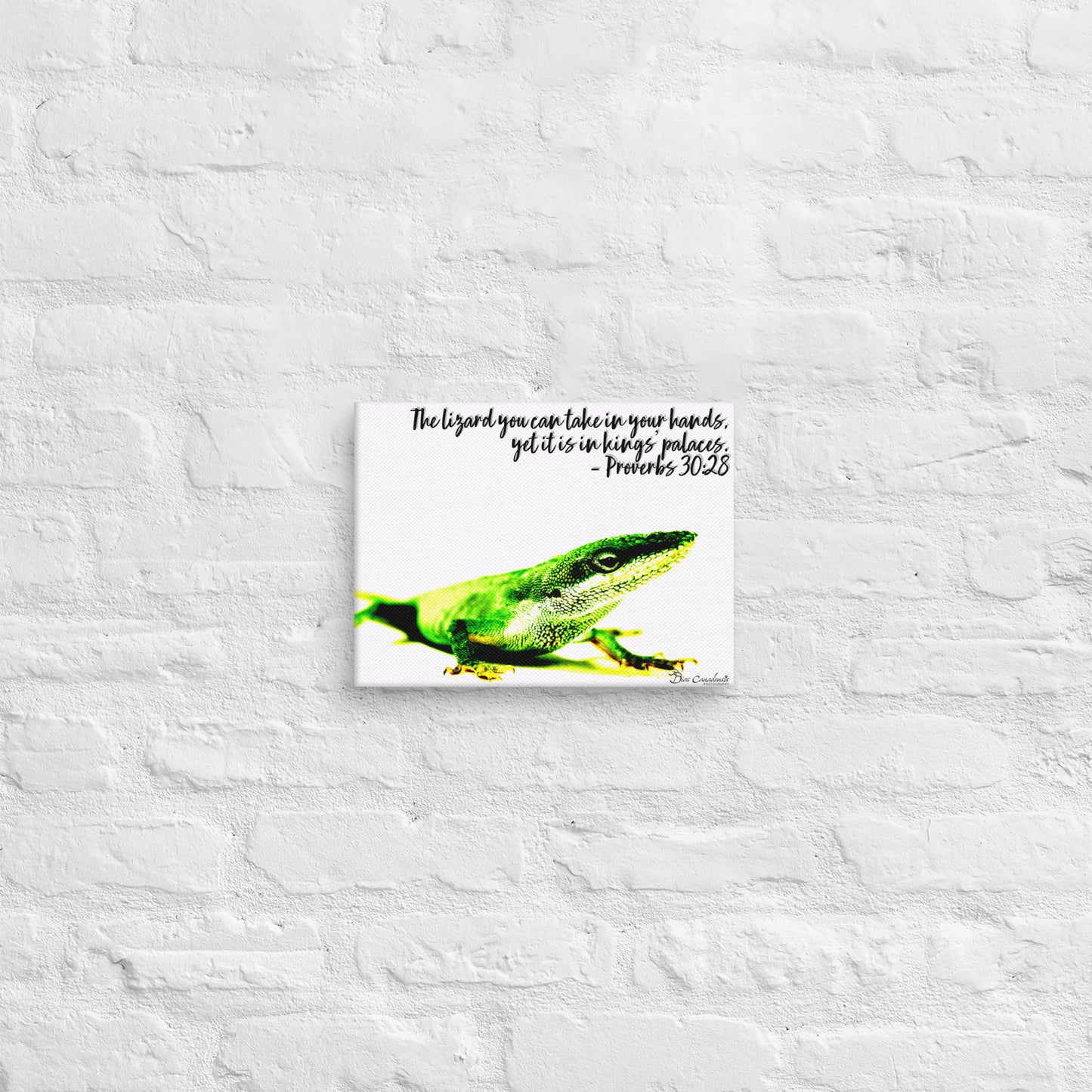 Canvas - Proverbs Wisdom Series - The Lizard