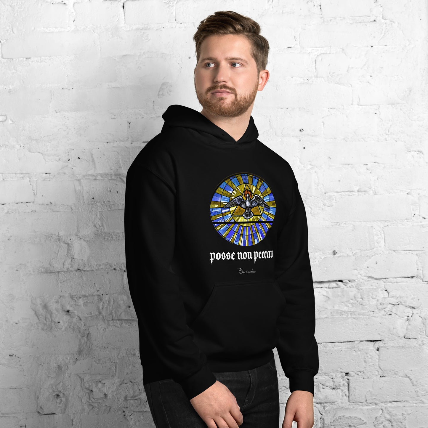 Sudadera con capucha - Posse Non Peccare - Sudadera con capucha unisex