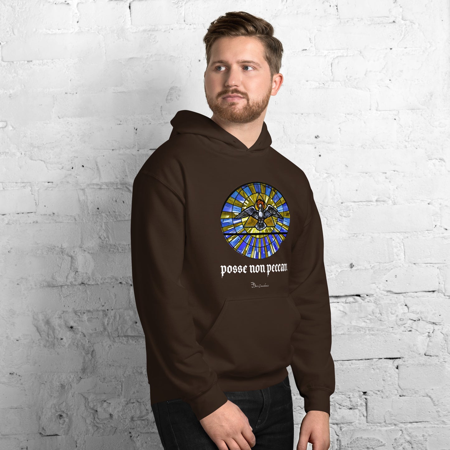 Sudadera con capucha - Posse Non Peccare - Sudadera con capucha unisex