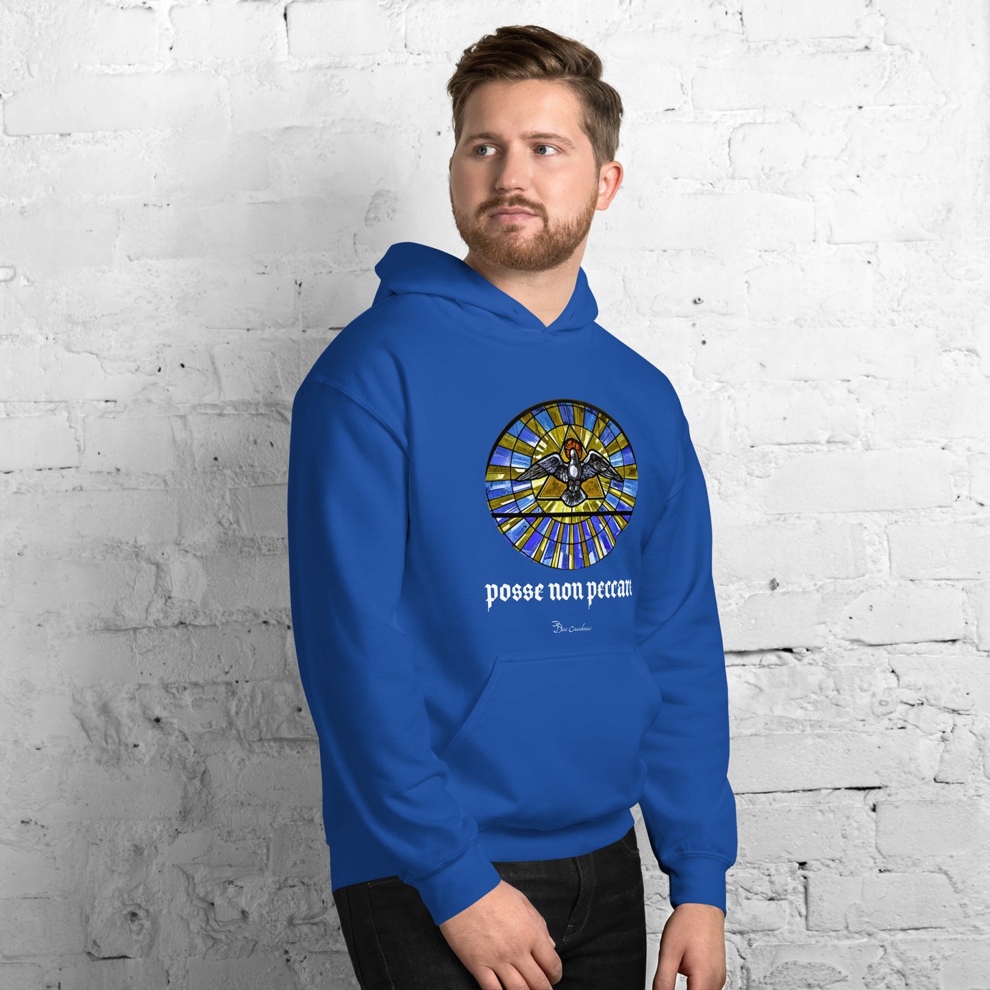 Sudadera con capucha - Posse Non Peccare - Sudadera con capucha unisex